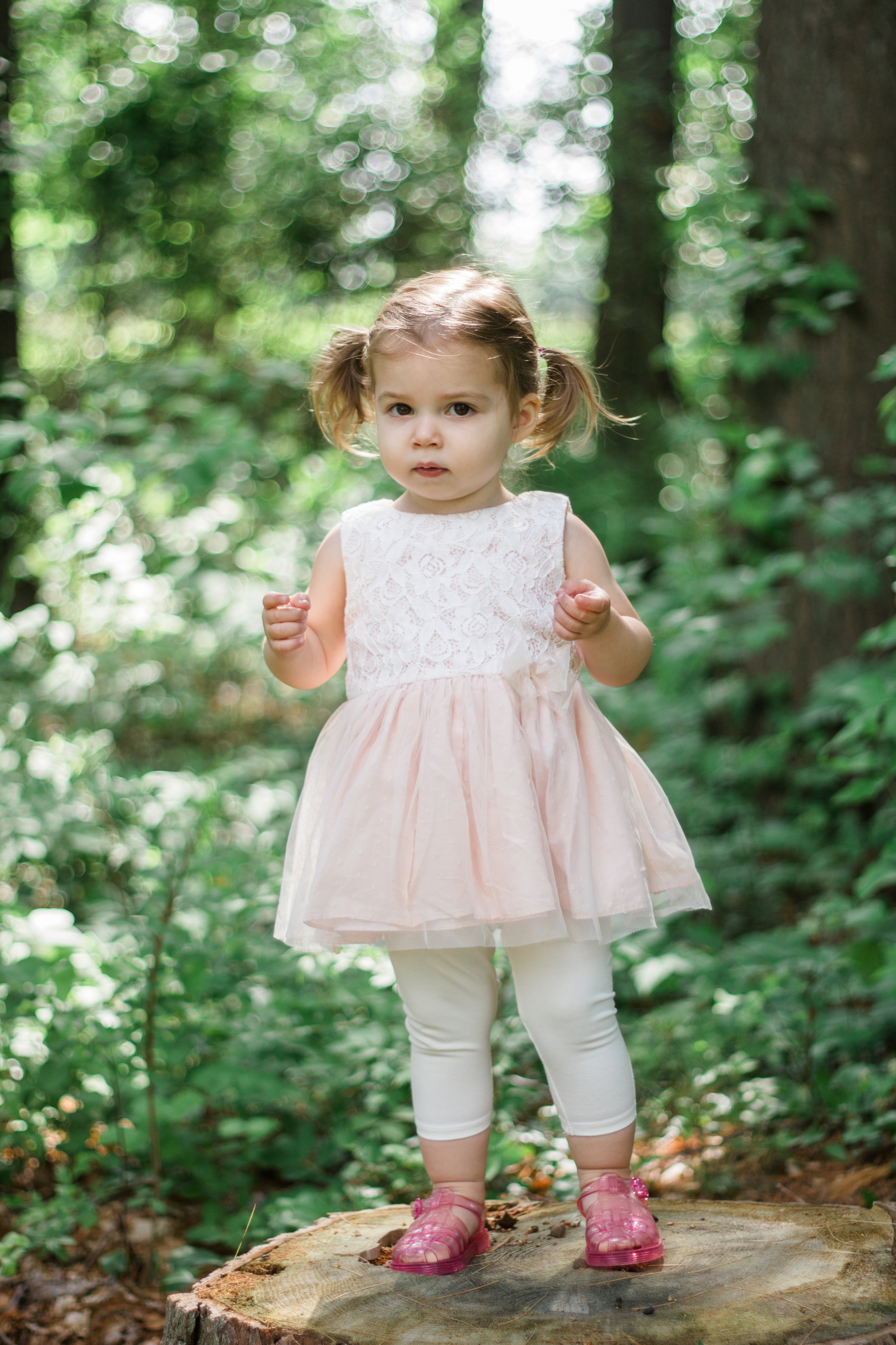 Boston Family Photographer Shannon Sorensen Photography