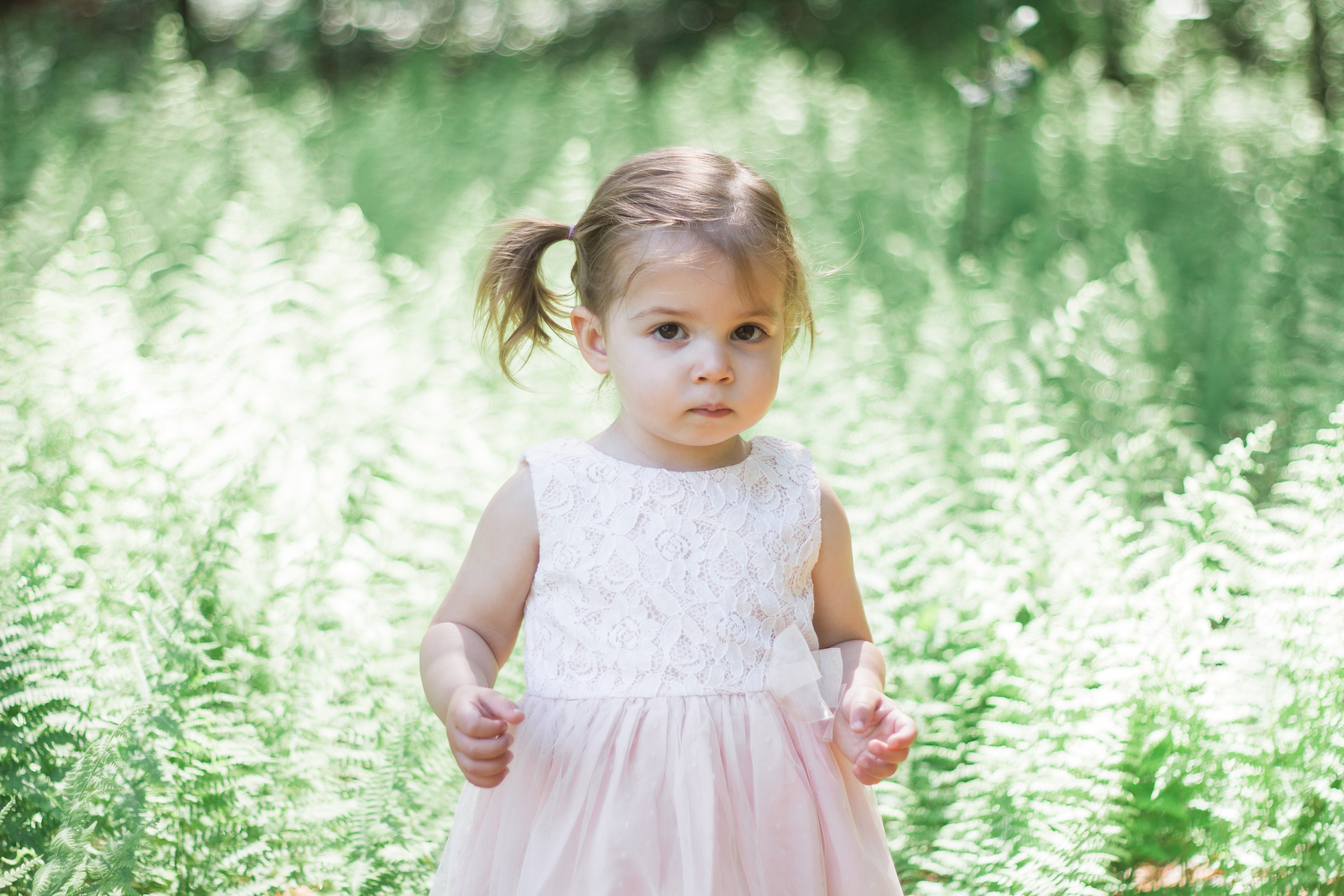 Boston Family Photographer Shannon Sorensen Photography