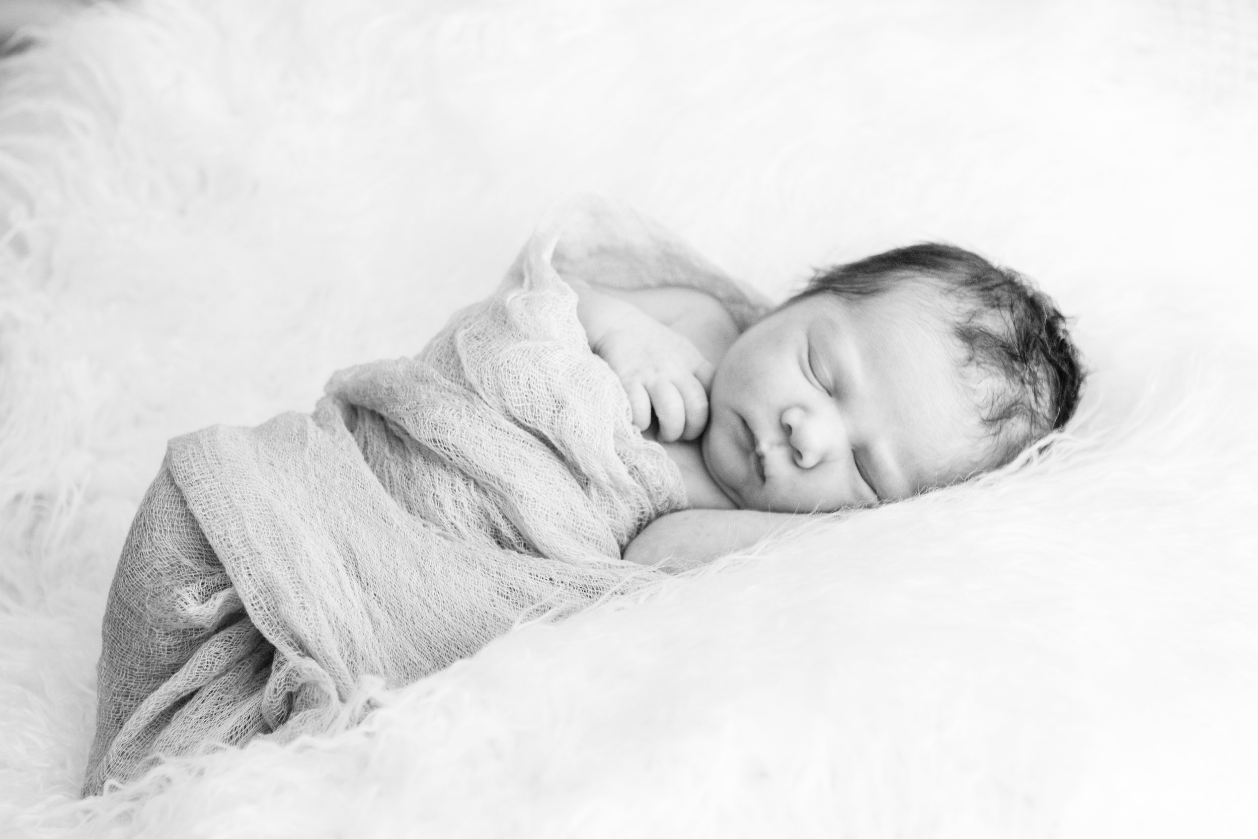 Connecticut Newborn and Family Photography