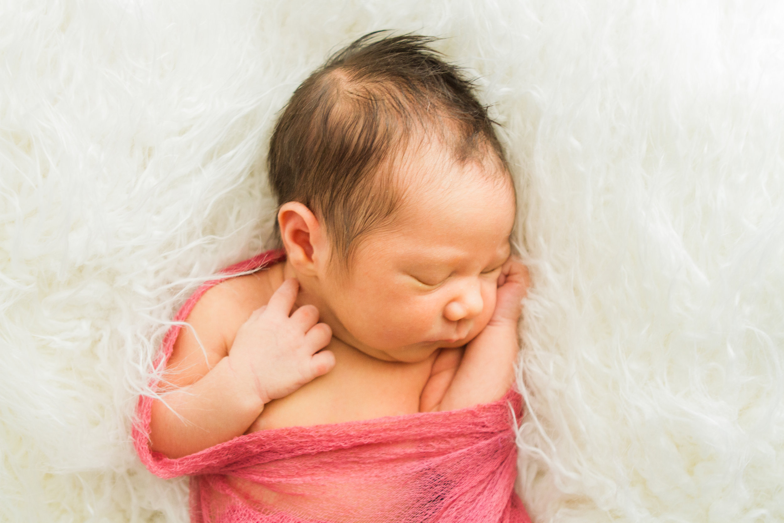 Connecticut Newborn and Family Photography