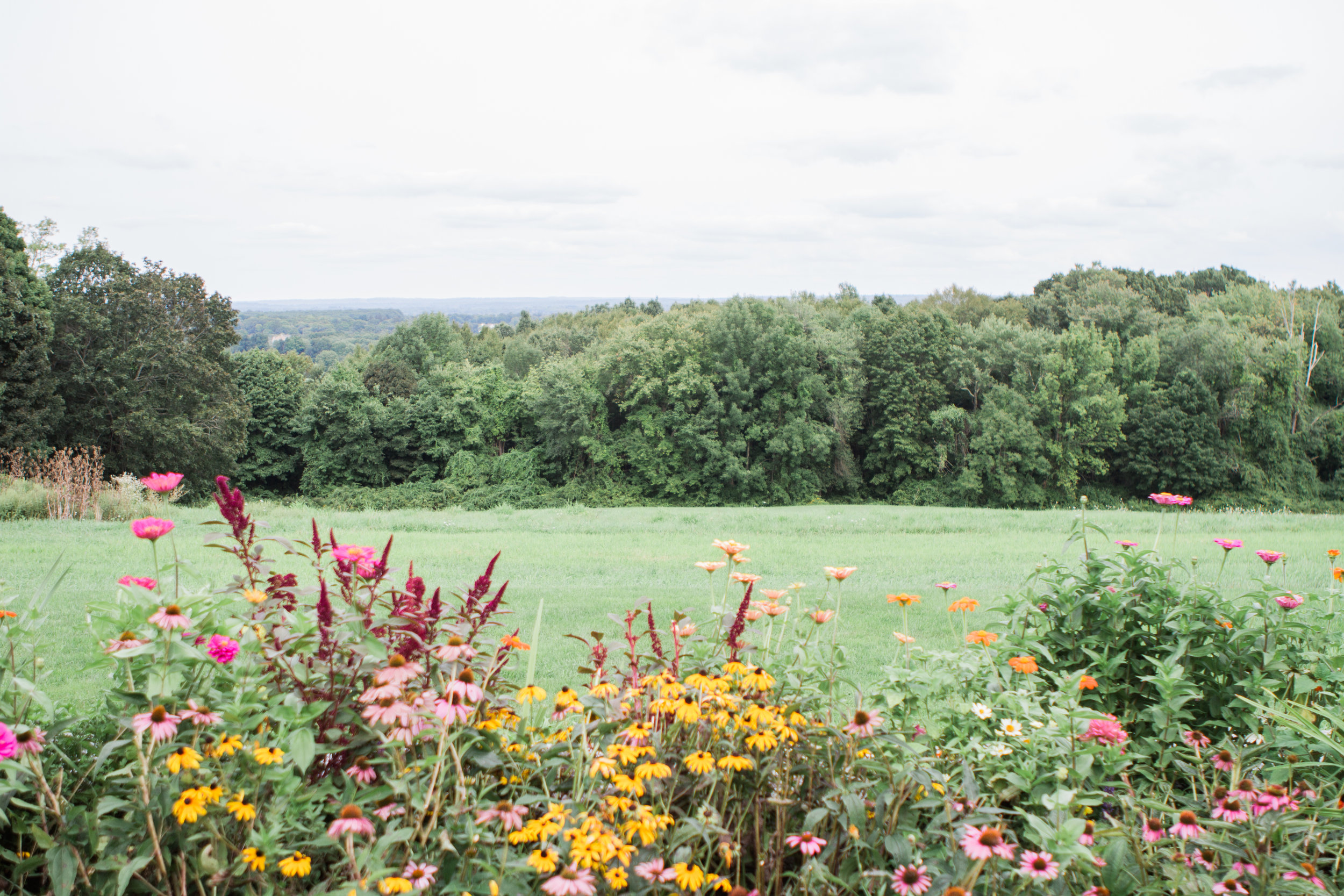 Carrie and Patrick Tyrone Farm Wedding Photographer in Pomfret Connecticut by Shannon Sorensen Photography