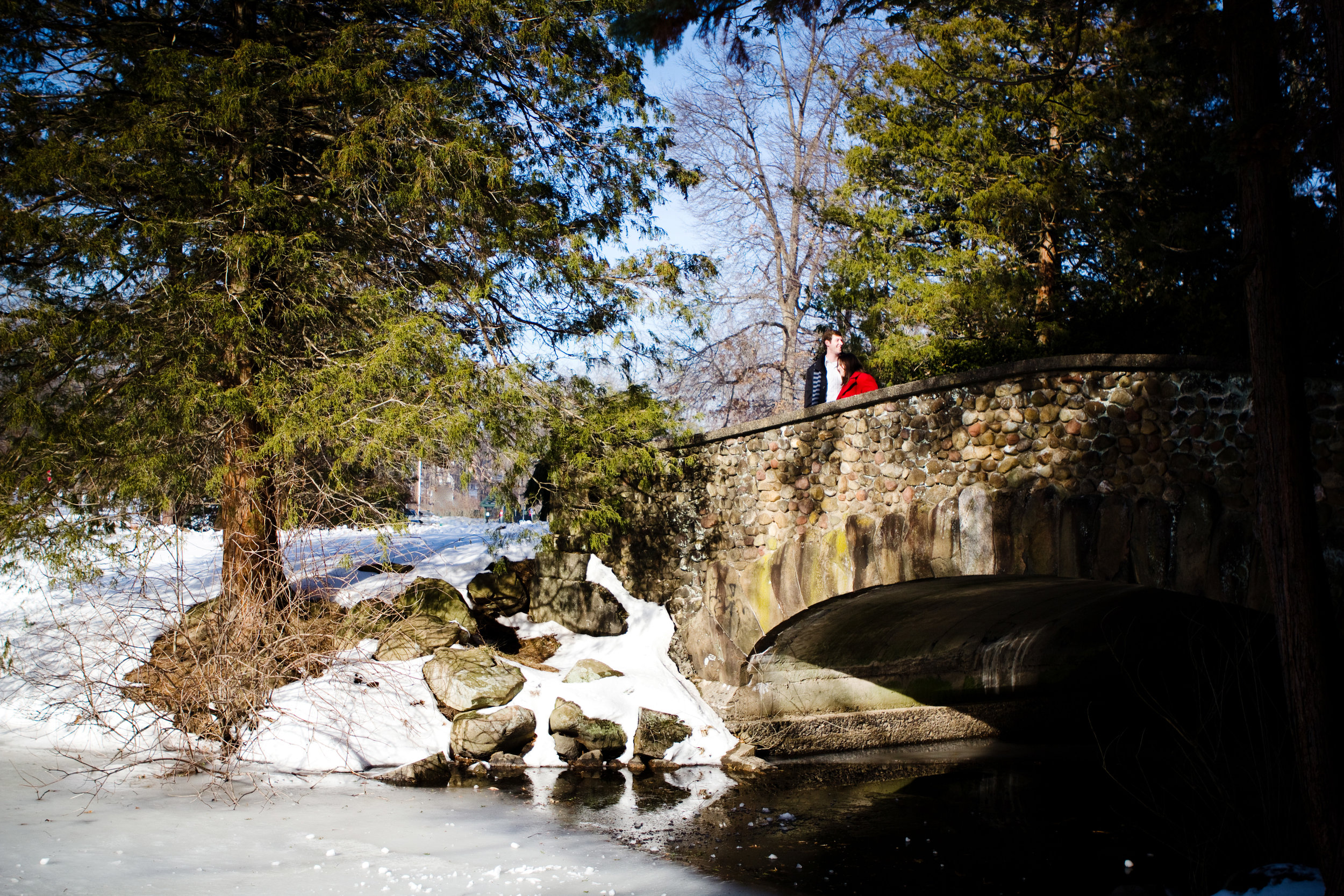 Liz and Nathan Elizabeth Park West Hartford Connecticut Winter Engagement Photography