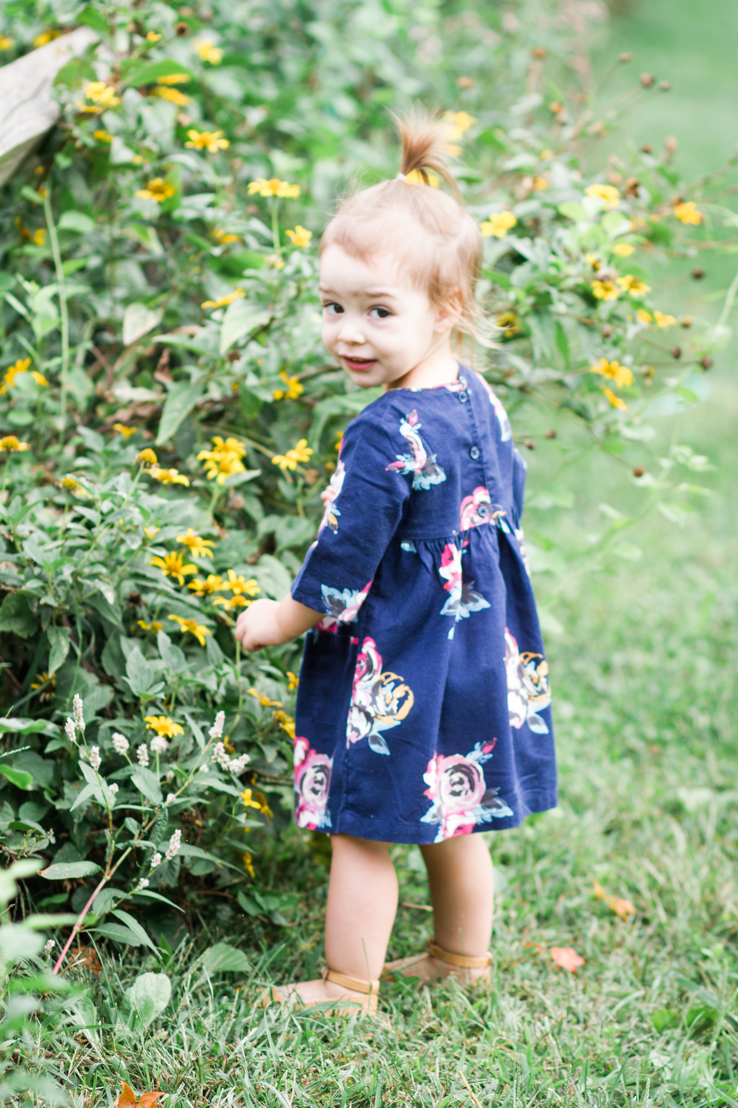 Northwest Park Windsor Connecticut Family Photographer Shannon Sorensen Photography