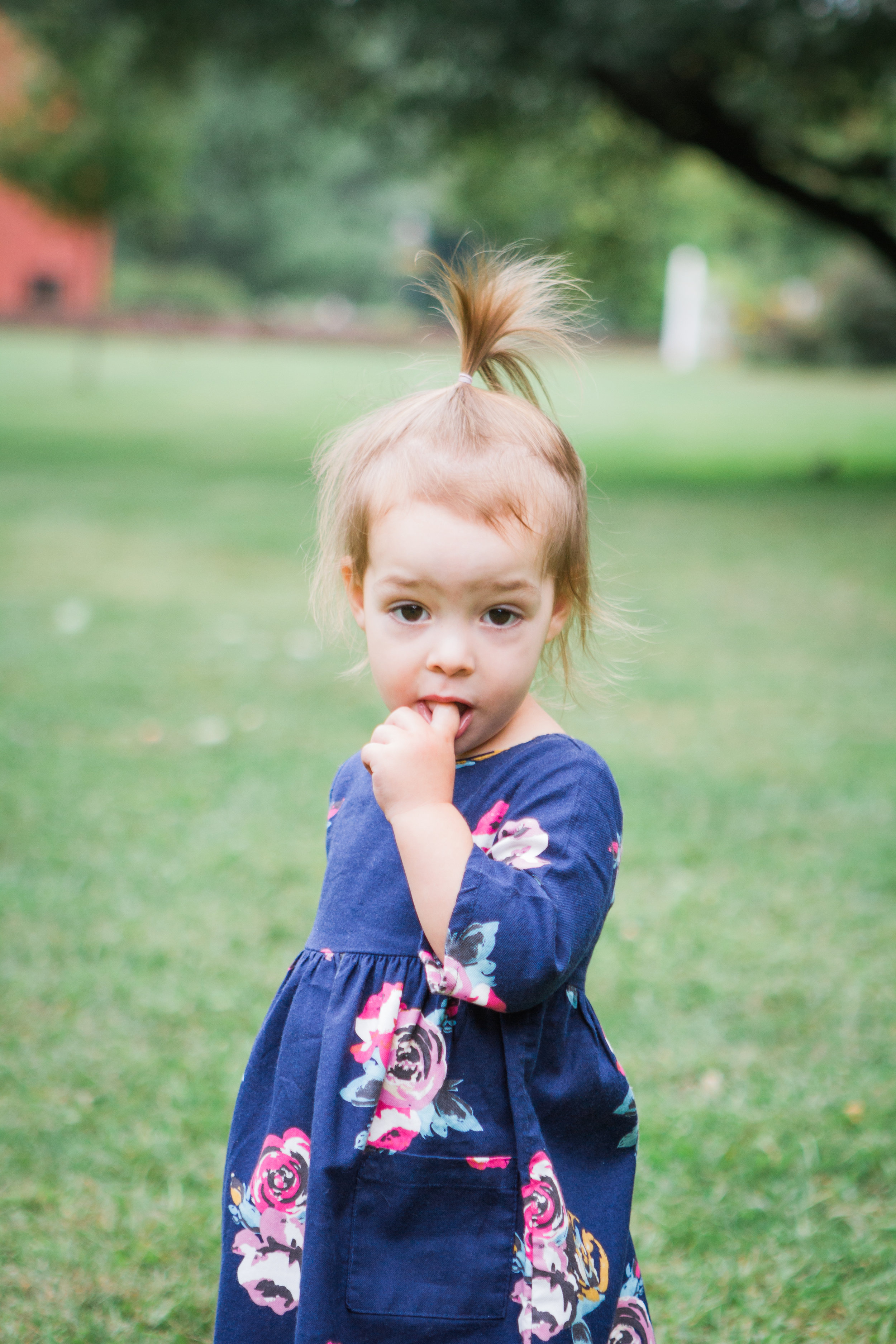Northwest Park Windsor Connecticut Family Photographer Shannon Sorensen Photography