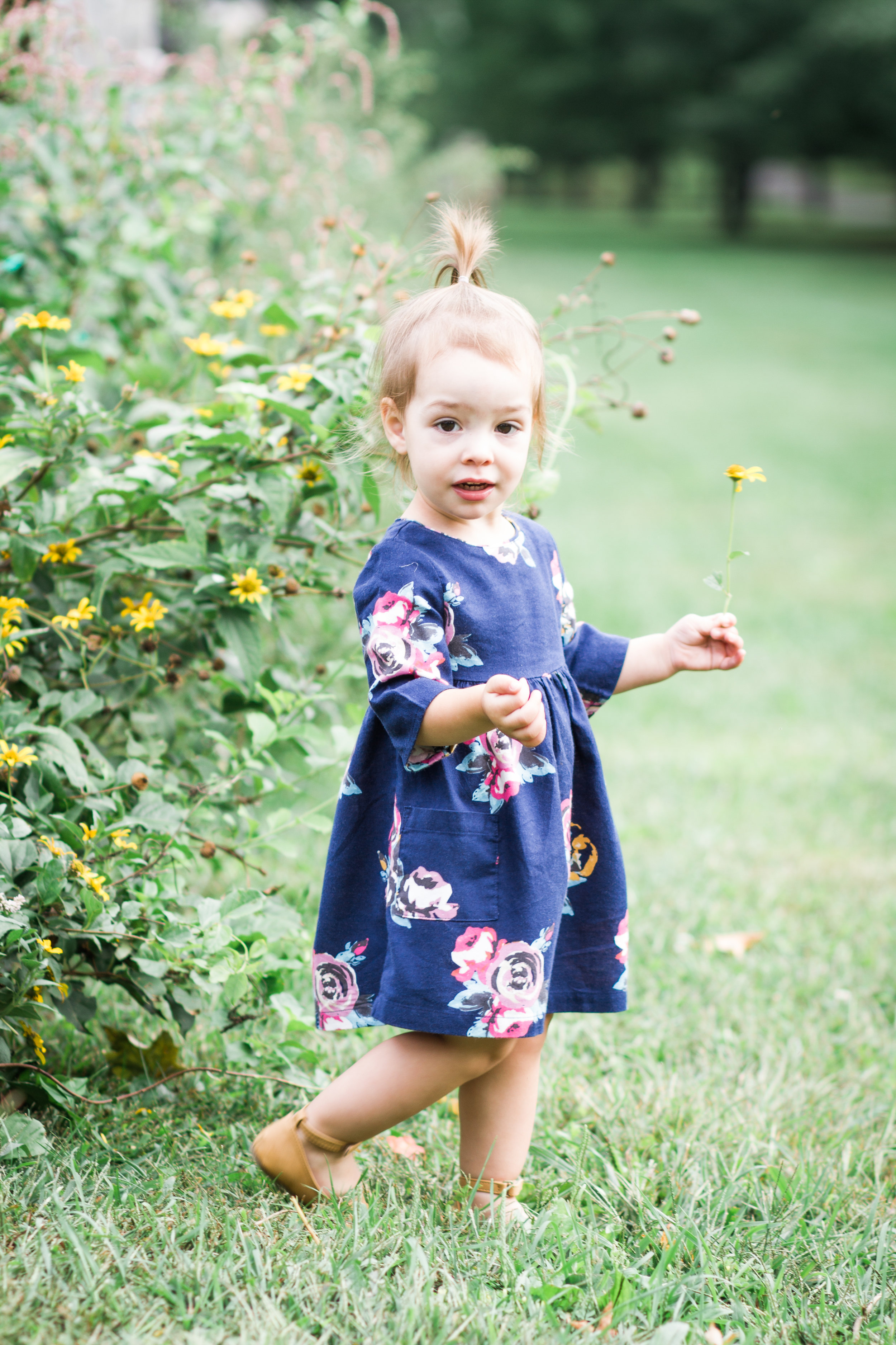 Northwest Park Windsor Connecticut Family Photographer Shannon Sorensen Photography
