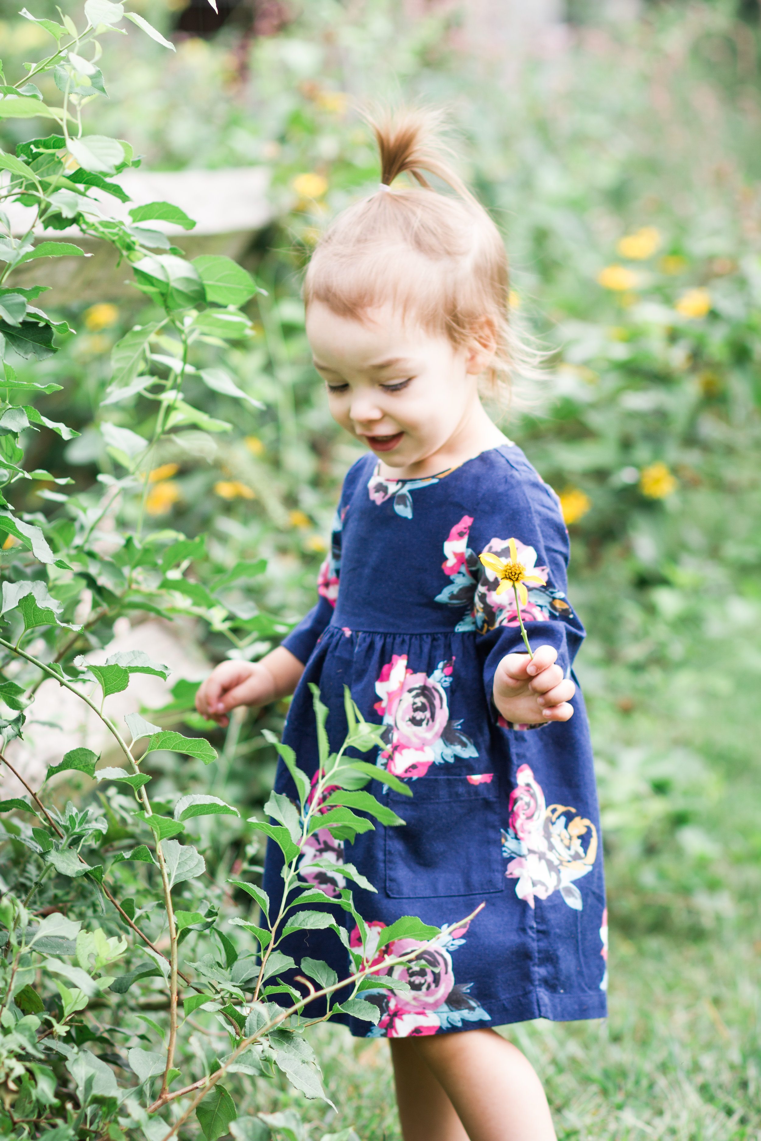 Northwest Park Windsor Connecticut Family Photographer Shannon Sorensen Photography