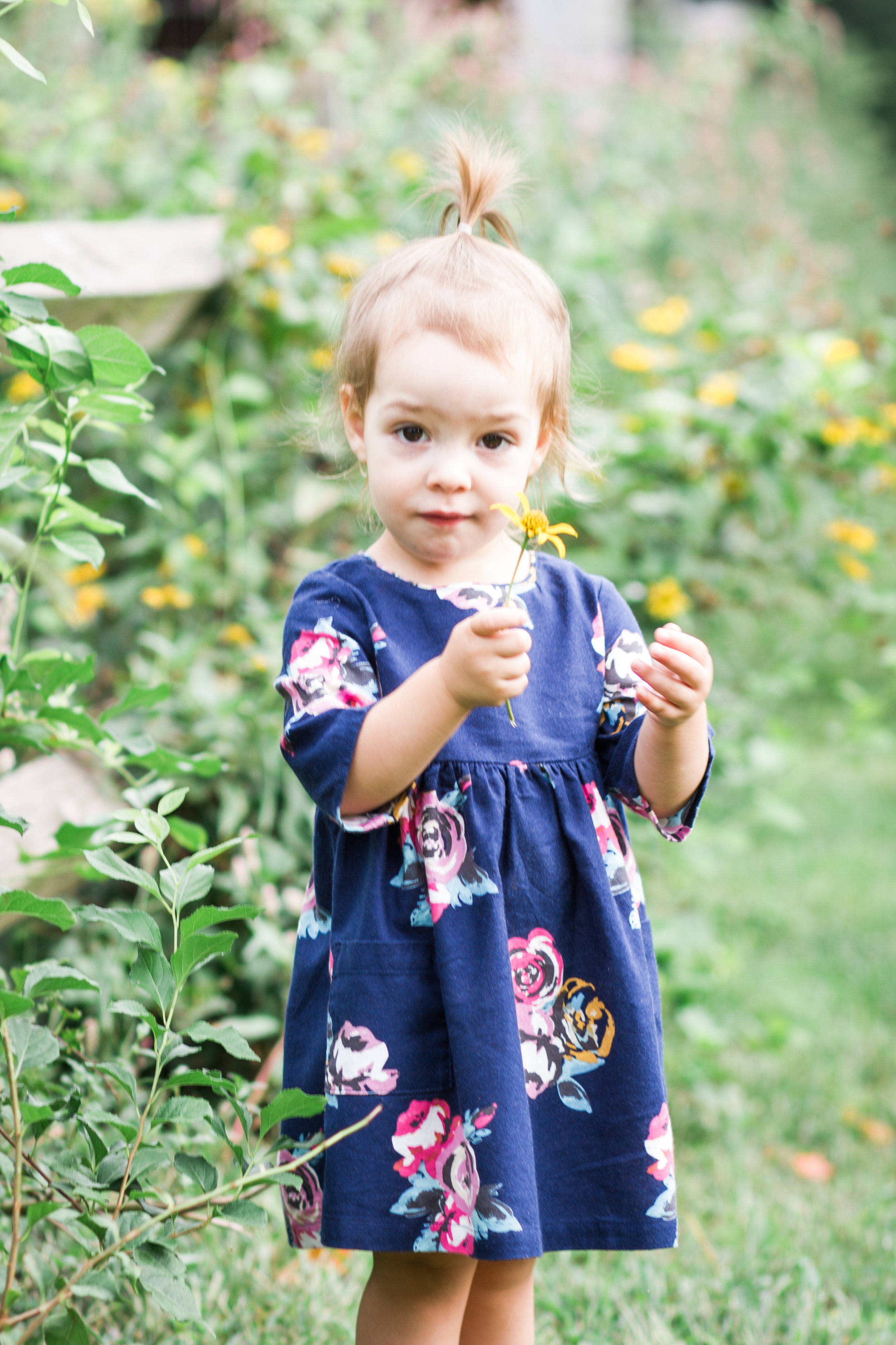 Northwest Park Windsor Connecticut Family Photographer Shannon Sorensen Photography