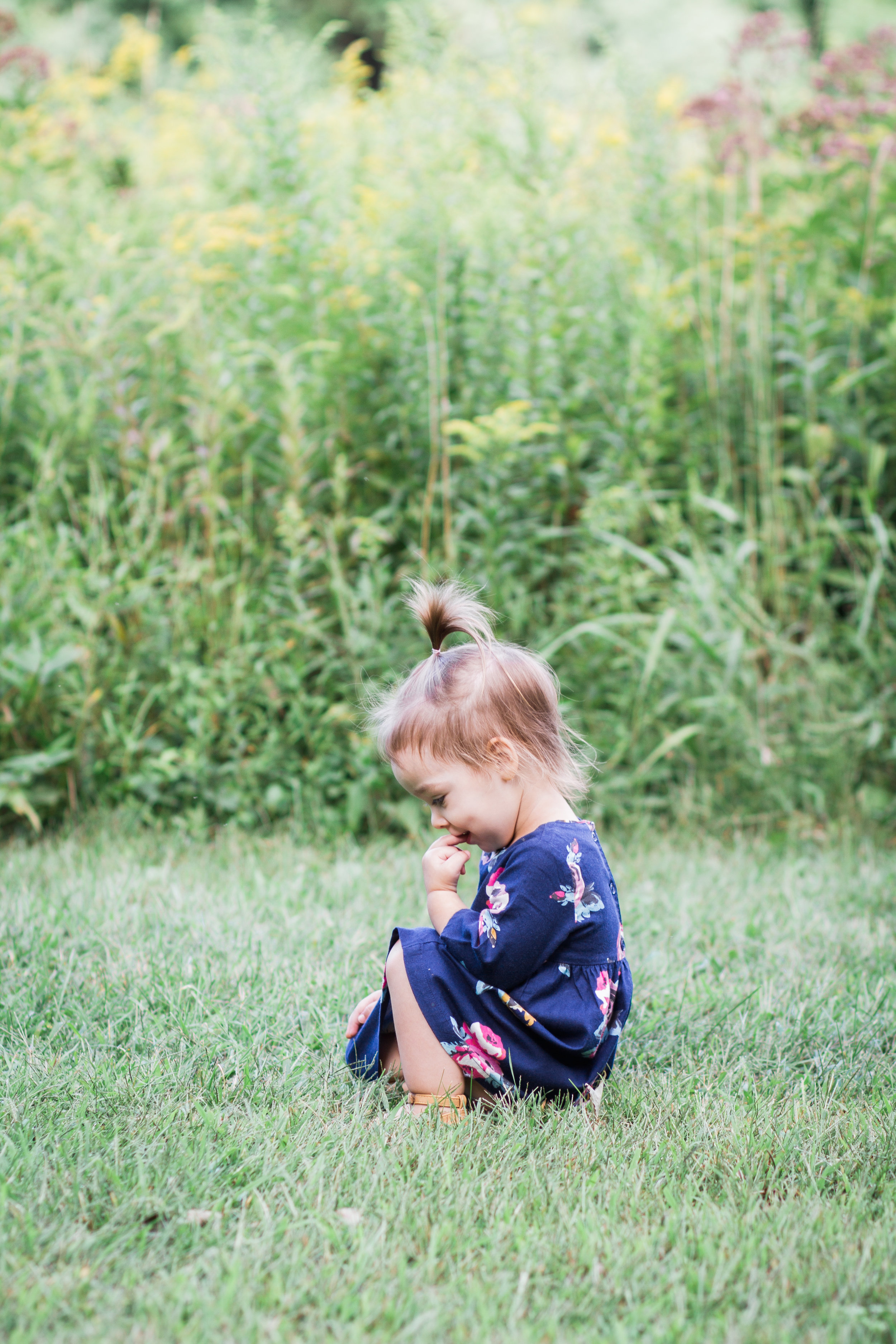 Northwest Park Windsor Connecticut Family Photographer Shannon Sorensen Photography