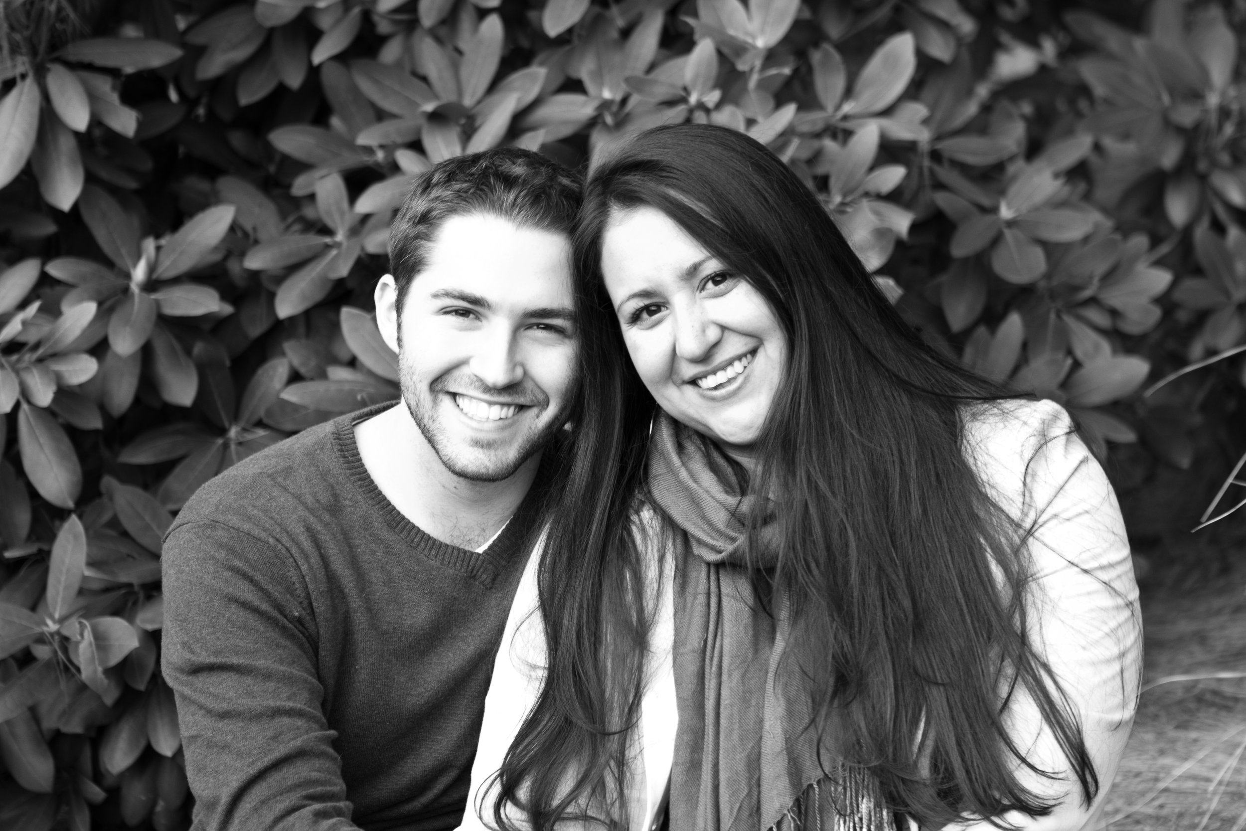 Ross and Renee deCordova Sculpture Park Lincoln Massachusetts Engagement Photographer Shannon Sorensen Photography