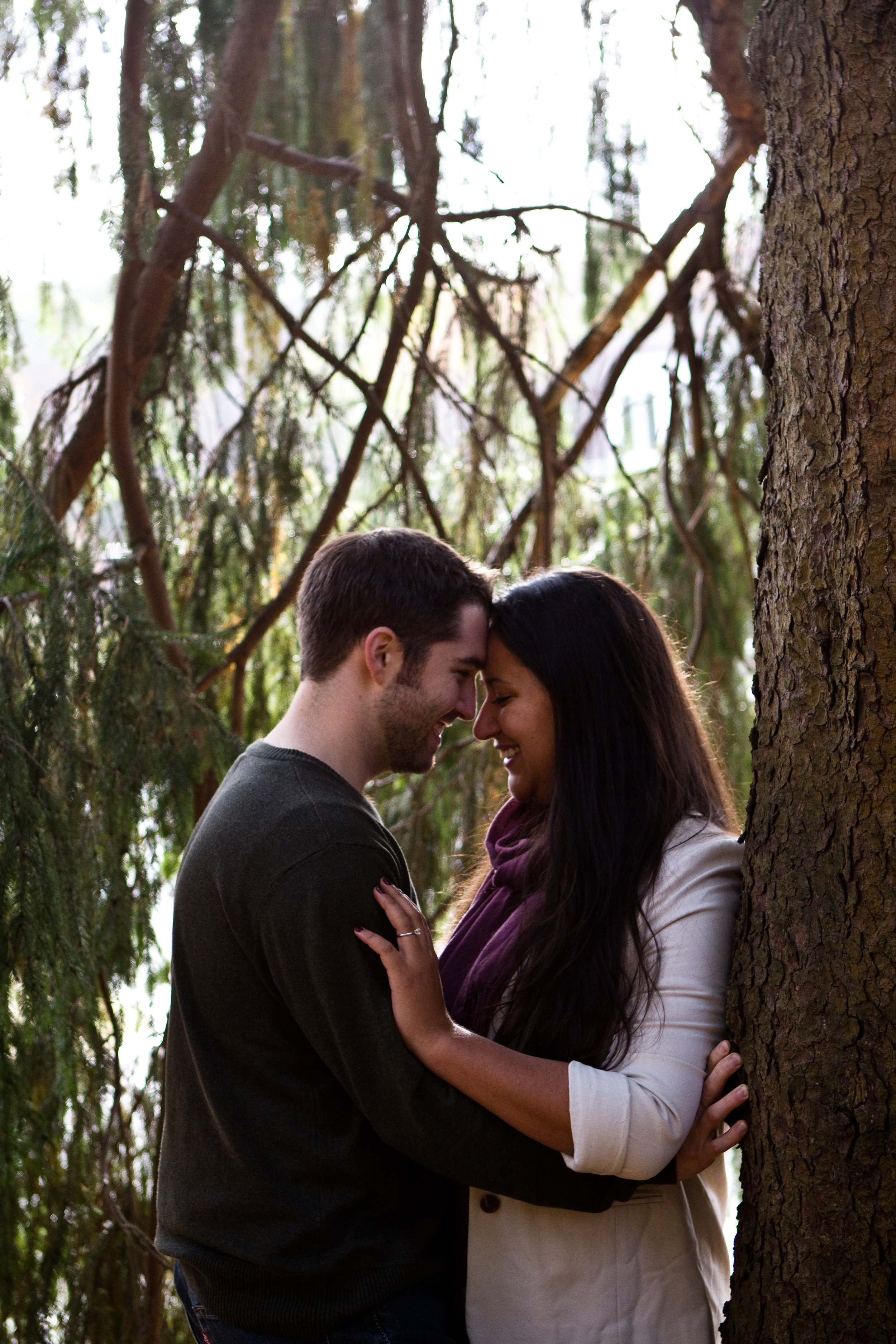 Ross and Renee deCordova Sculpture Park Lincoln Massachusetts Engagement Photographer Shannon Sorensen Photography