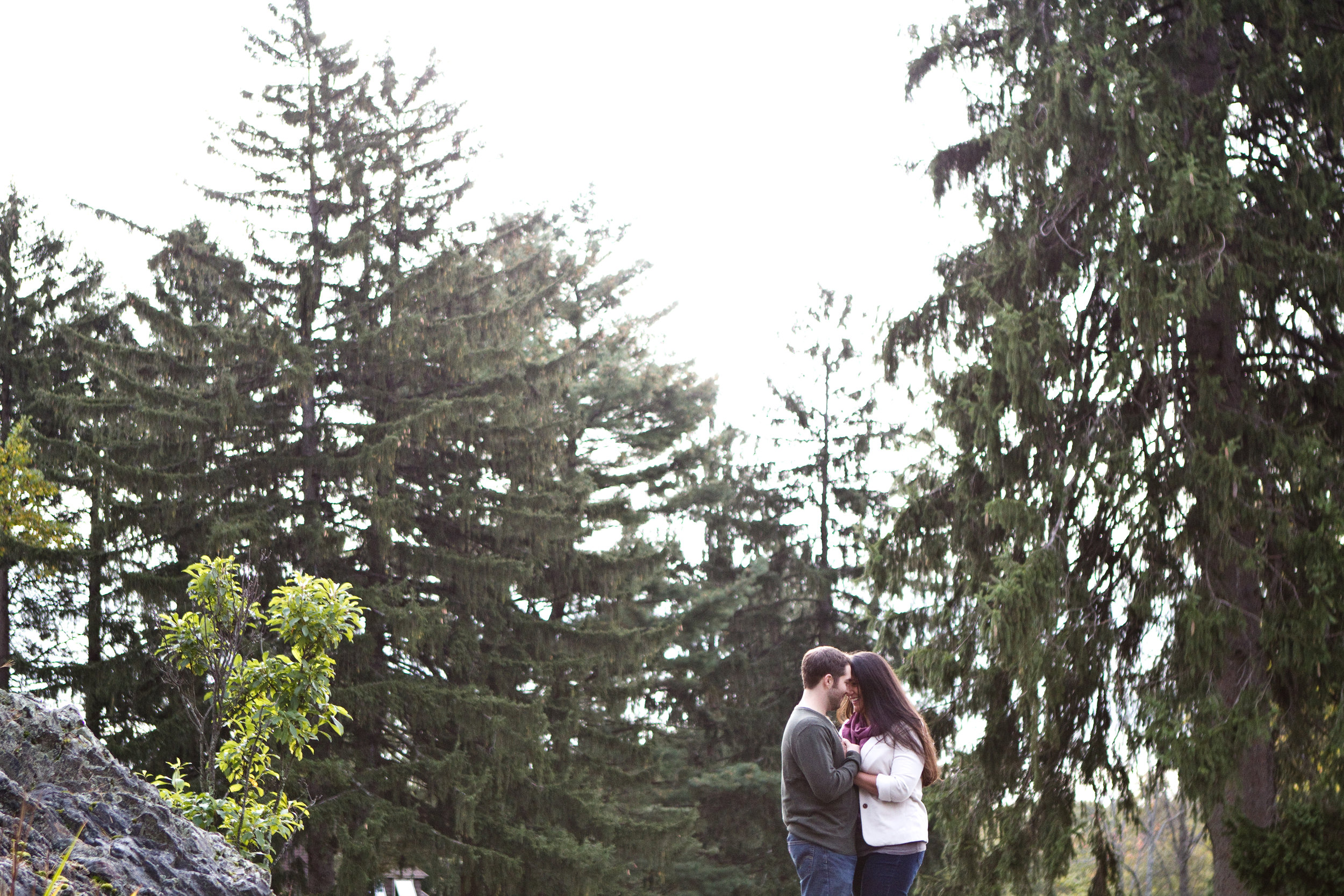 Ross and Renee deCordova Sculpture Park Lincoln Massachusetts Engagement Photographer Shannon Sorensen Photography