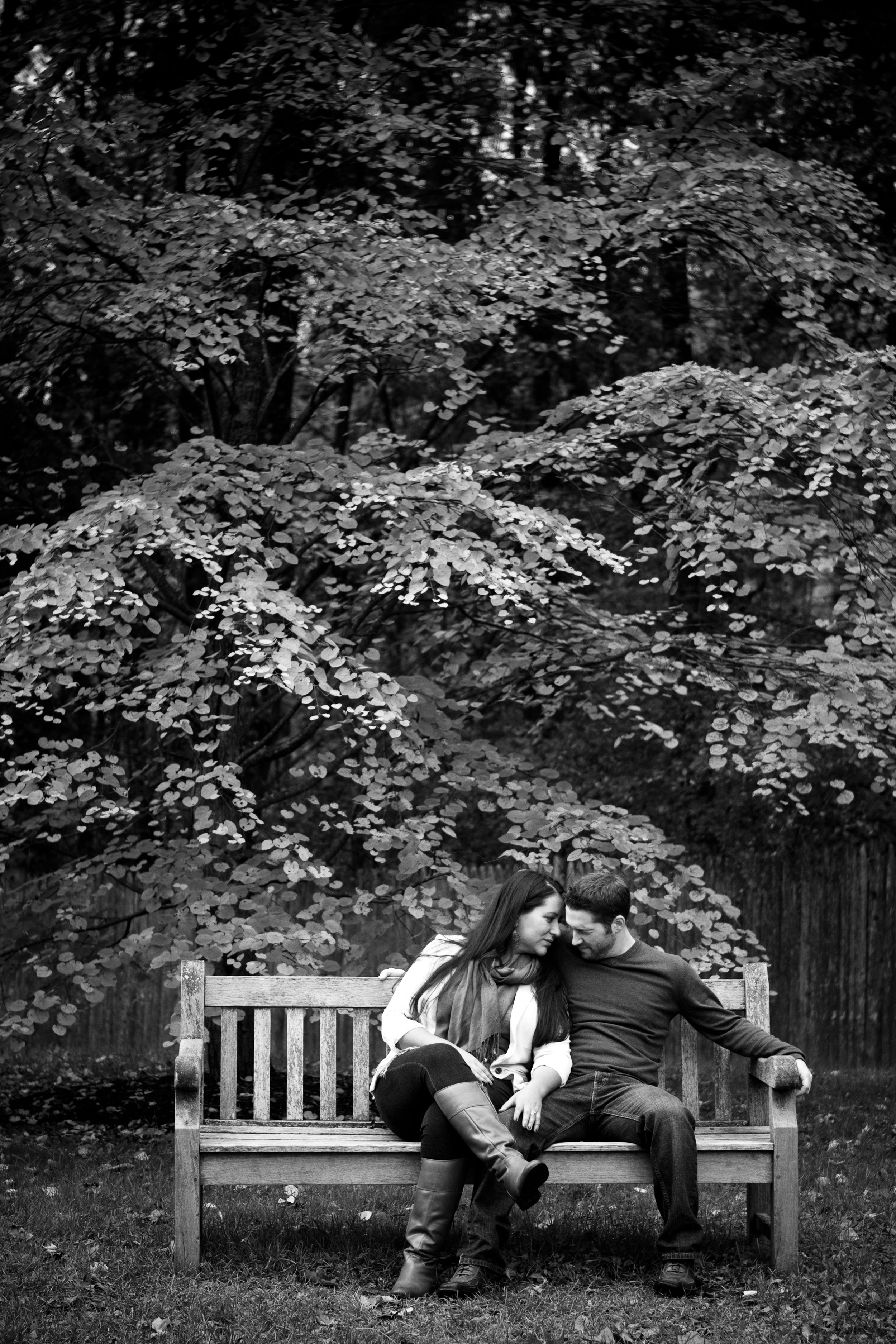 Ross and Renee deCordova Sculpture Park Lincoln Massachusetts Engagement Photographer Shannon Sorensen Photography