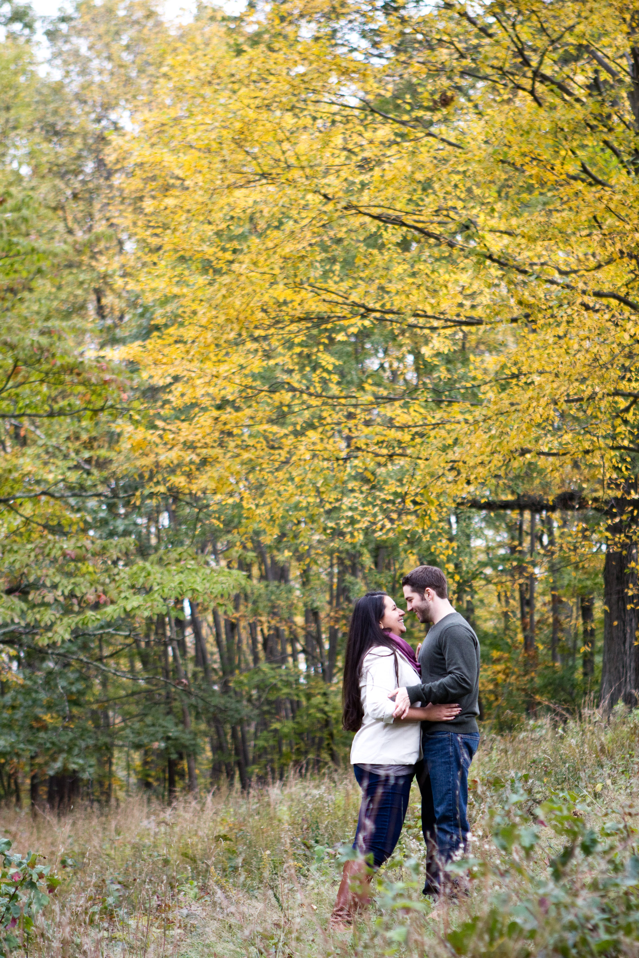 Ross and Renee deCordova Sculpture Park Lincoln Massachusetts Engagement Photographer Shannon Sorensen Photography