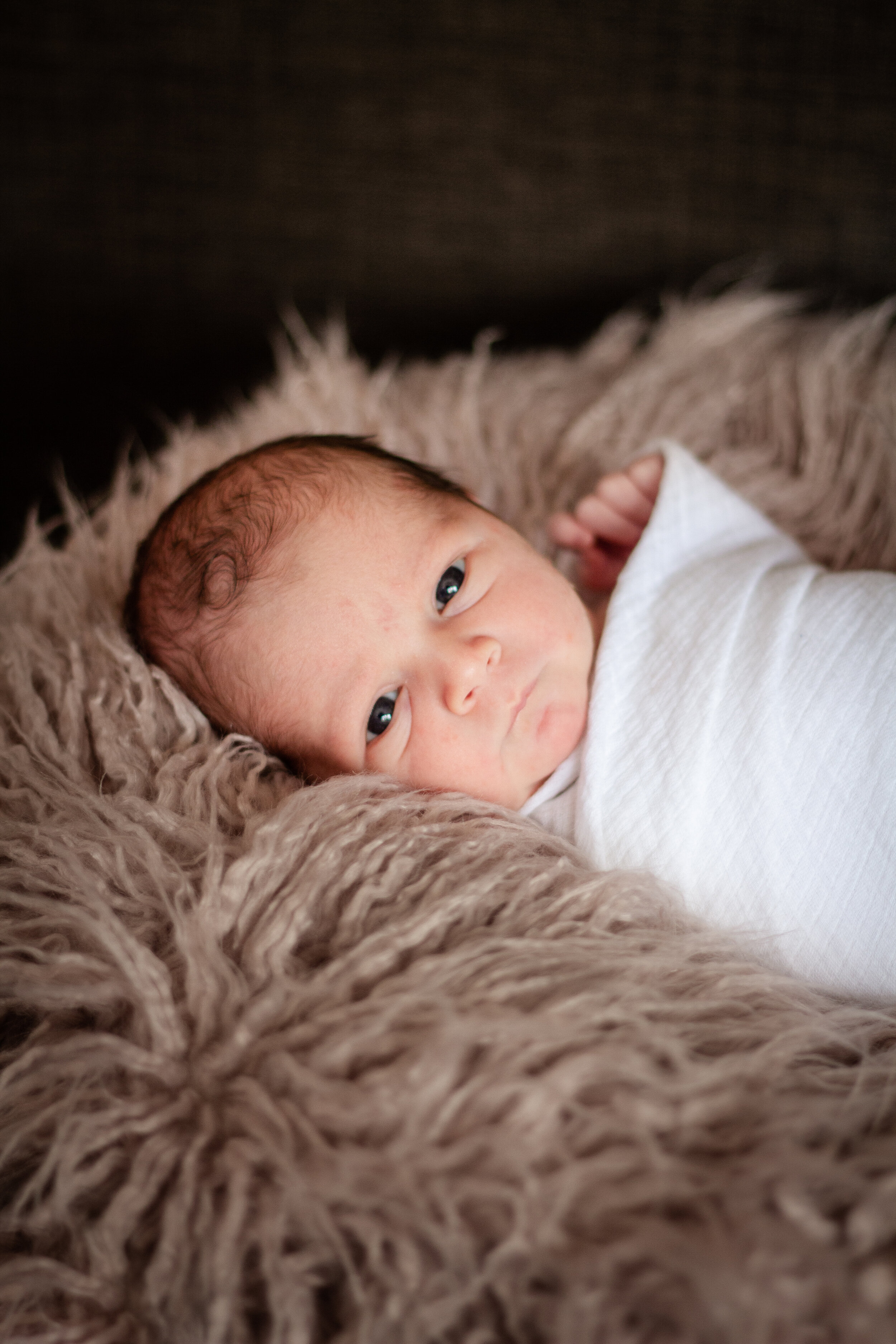 At-Home Newborn Photography Session, Shannon Sorensen, Duxbury Massachusetts Newborn PHotographer, Newington Connecticut Newborn Photographer, Family Lifestyle Photography