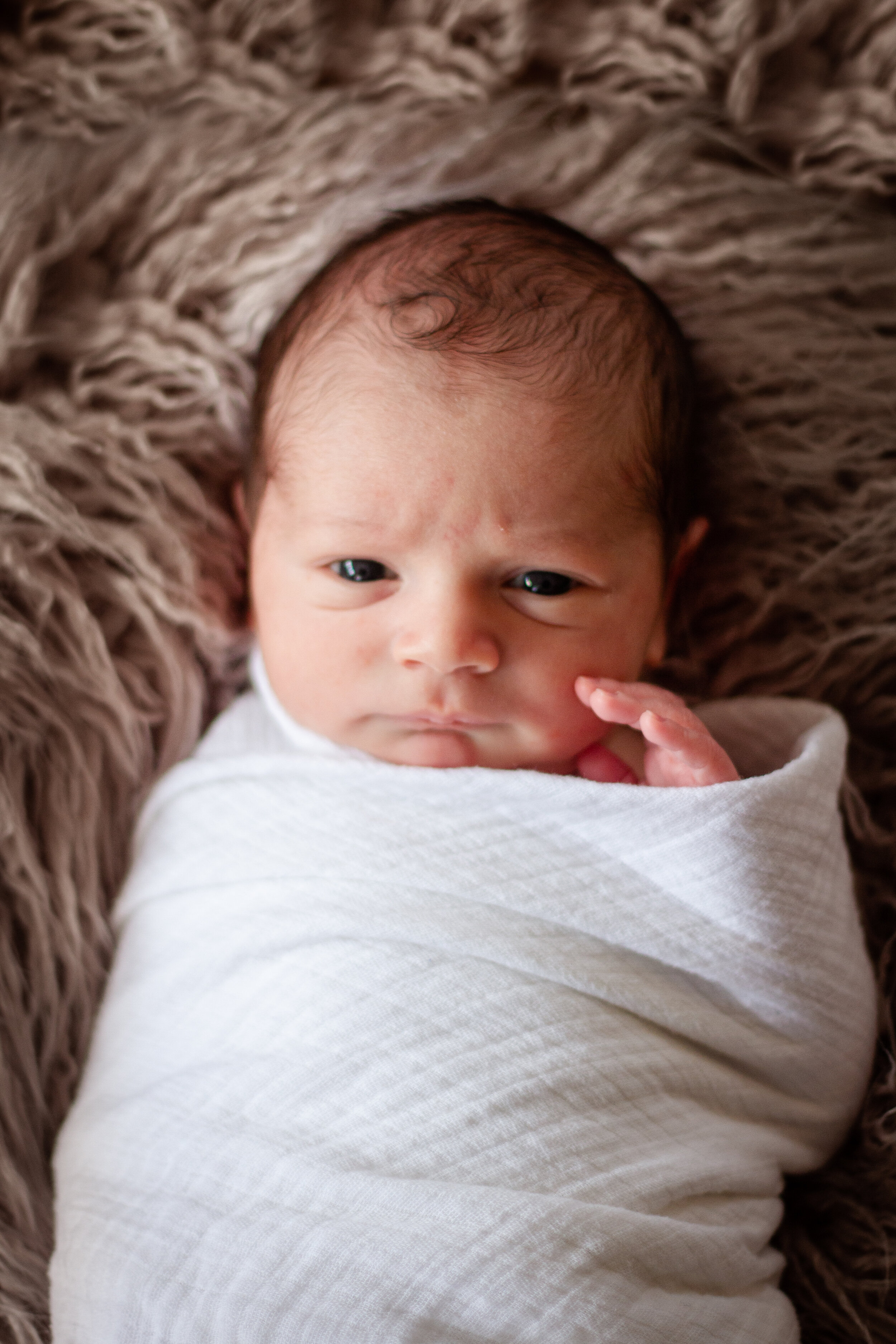 At-Home Newborn Photography Session, Shannon Sorensen, Duxbury Massachusetts Newborn PHotographer, Newington Connecticut Newborn Photographer, Family Lifestyle Photography