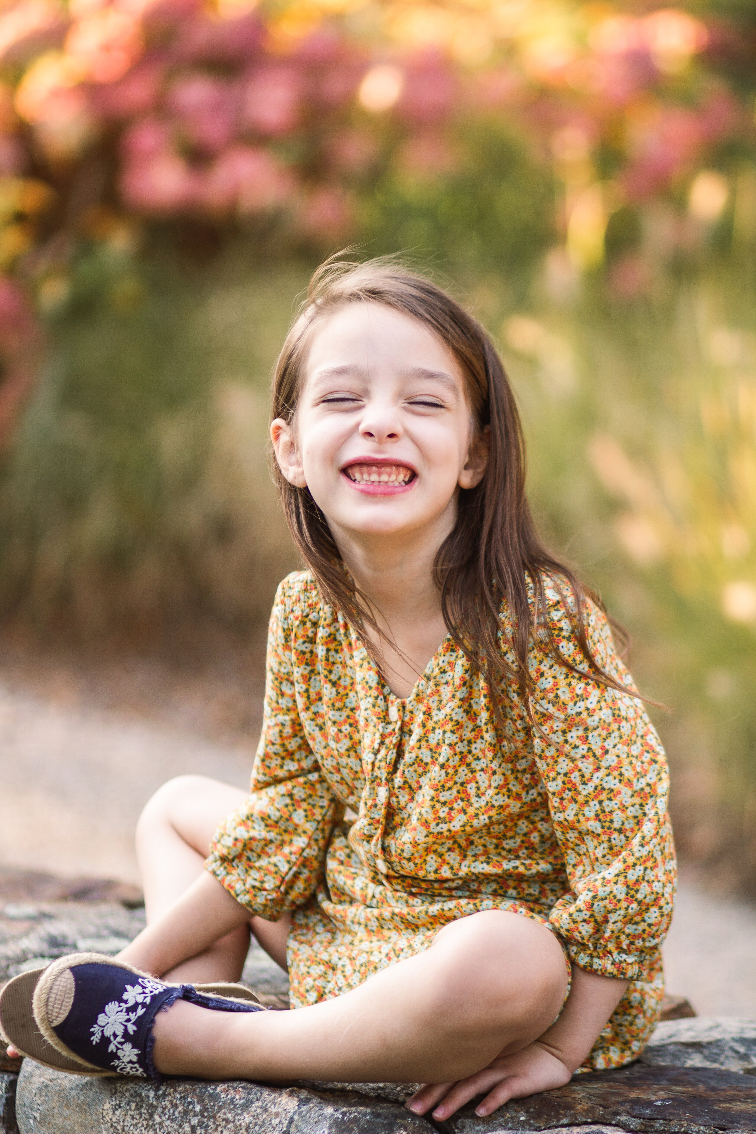 Fall Family Photography, Fall Family Photo Style, deCordova Sculpture Park, Boston Massachusetts, Boston Family Photographer, Massachusetts Family Photographer, Shannon Sorensen Photography