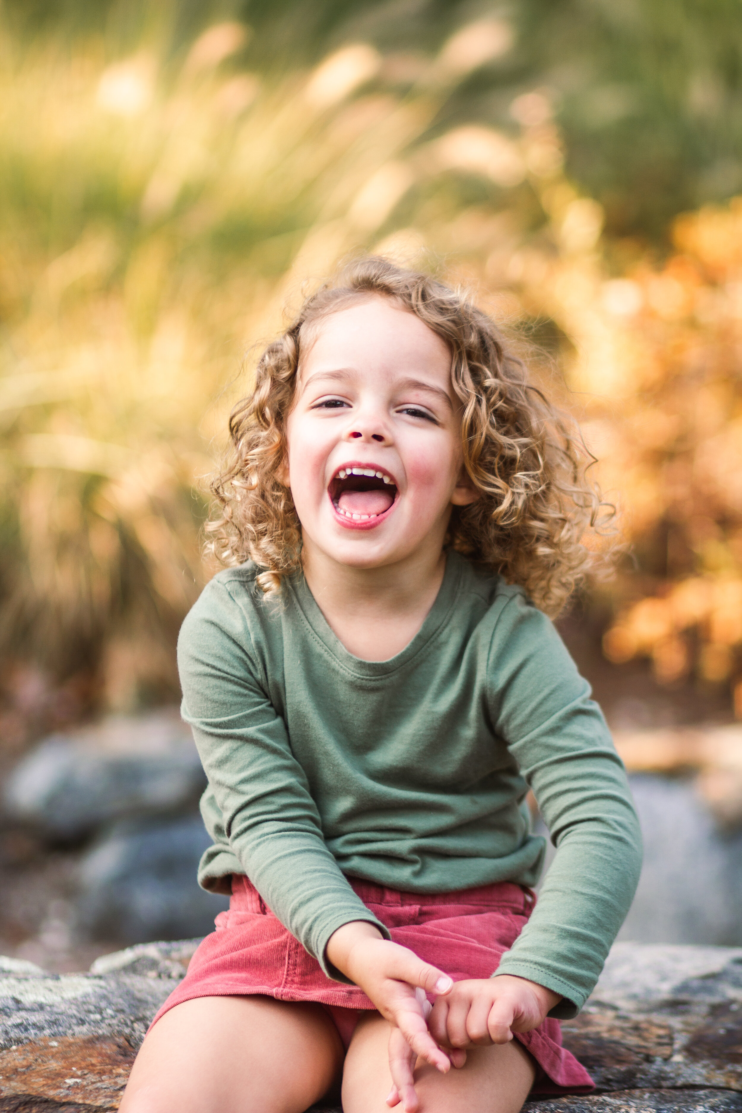 Fall Family Photography, Fall Family Photo Style, deCordova Sculpture Park, Boston Massachusetts, Boston Family Photographer, Massachusetts Family Photographer, Shannon Sorensen Photography