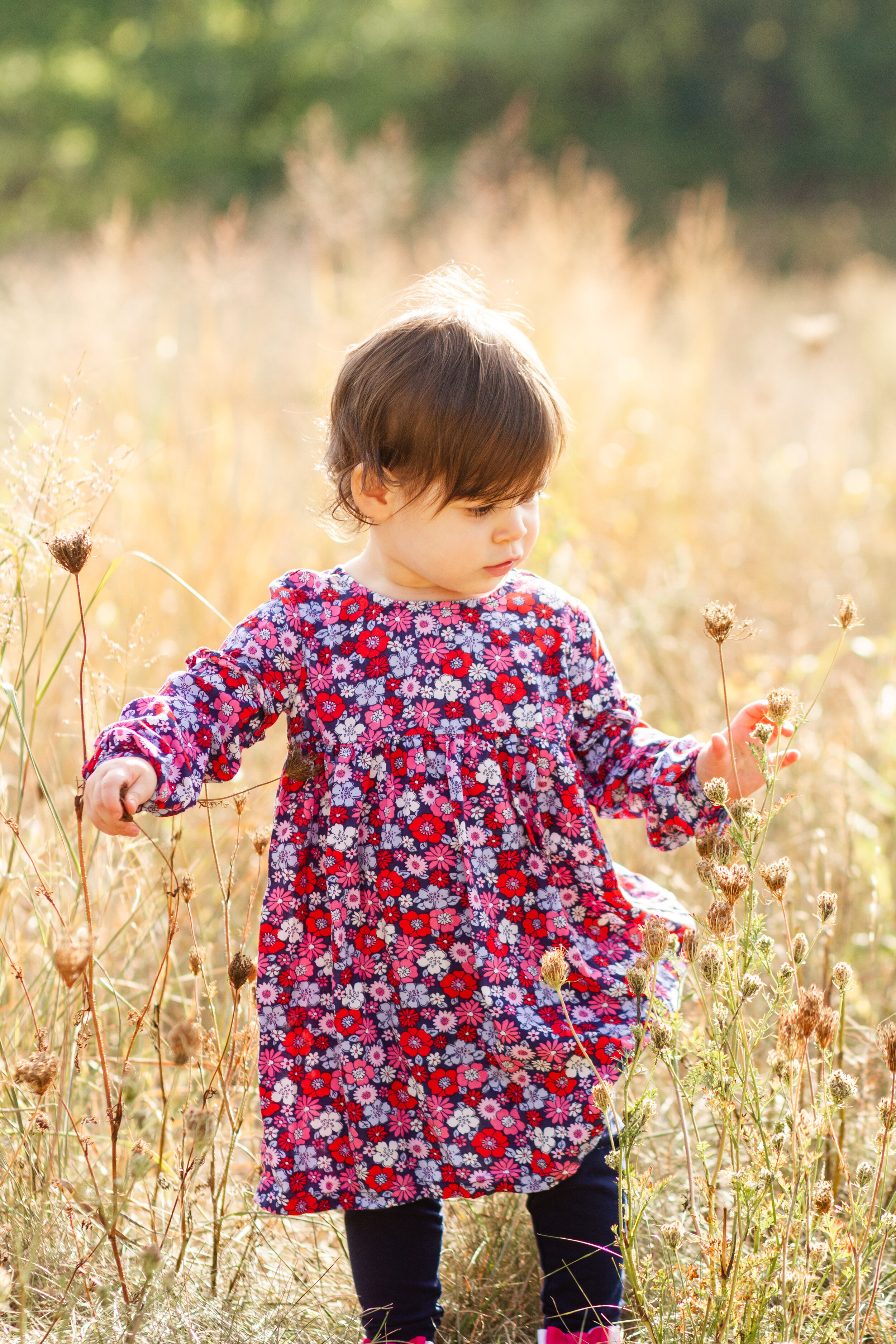 Boston Family Photography, Quincy Family Photography, Squantum Point Park, Boston Harbor, Shannon Sorensen Photography