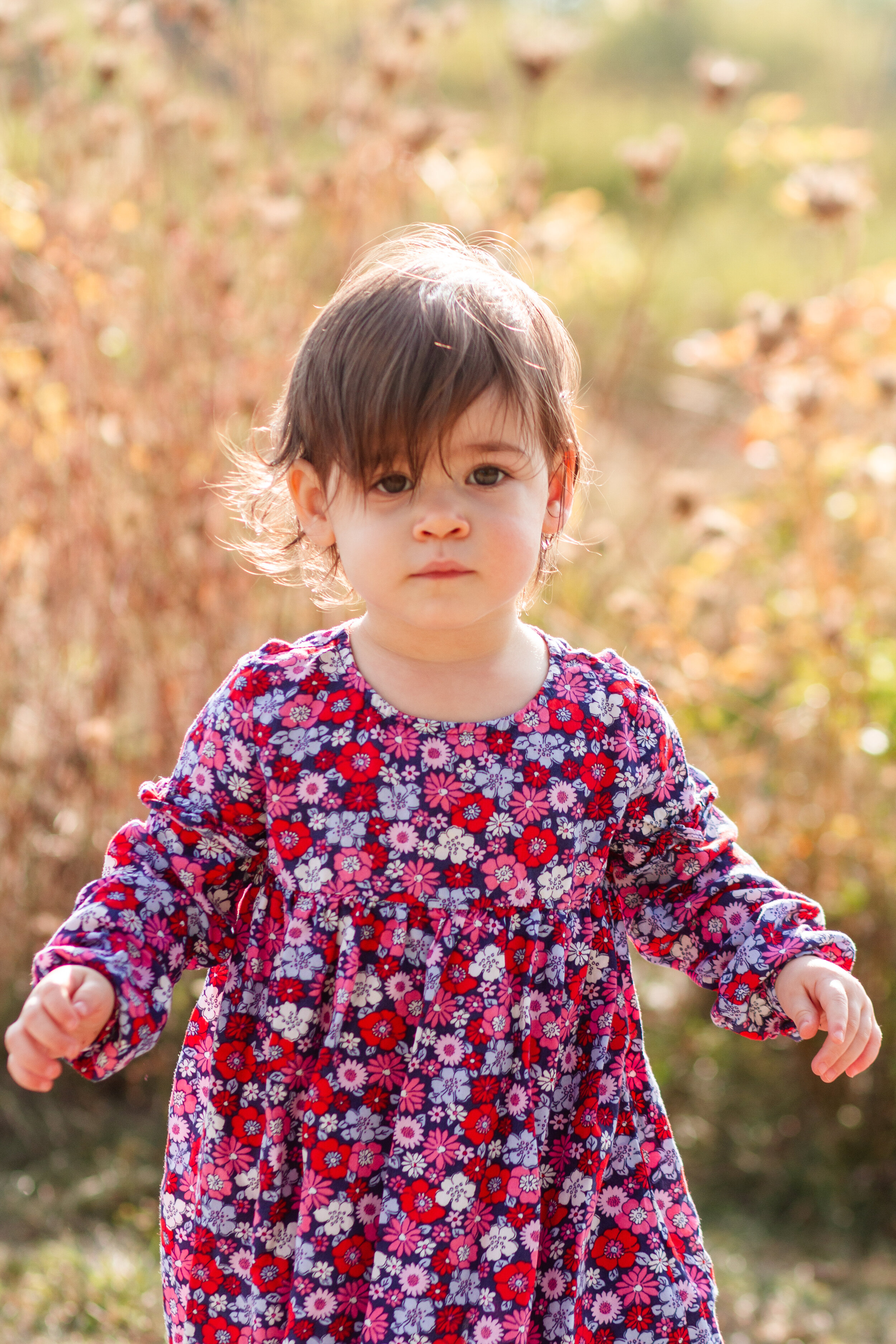 Boston Family Photography, Quincy Family Photography, Squantum Point Park, Boston Harbor, Shannon Sorensen Photography