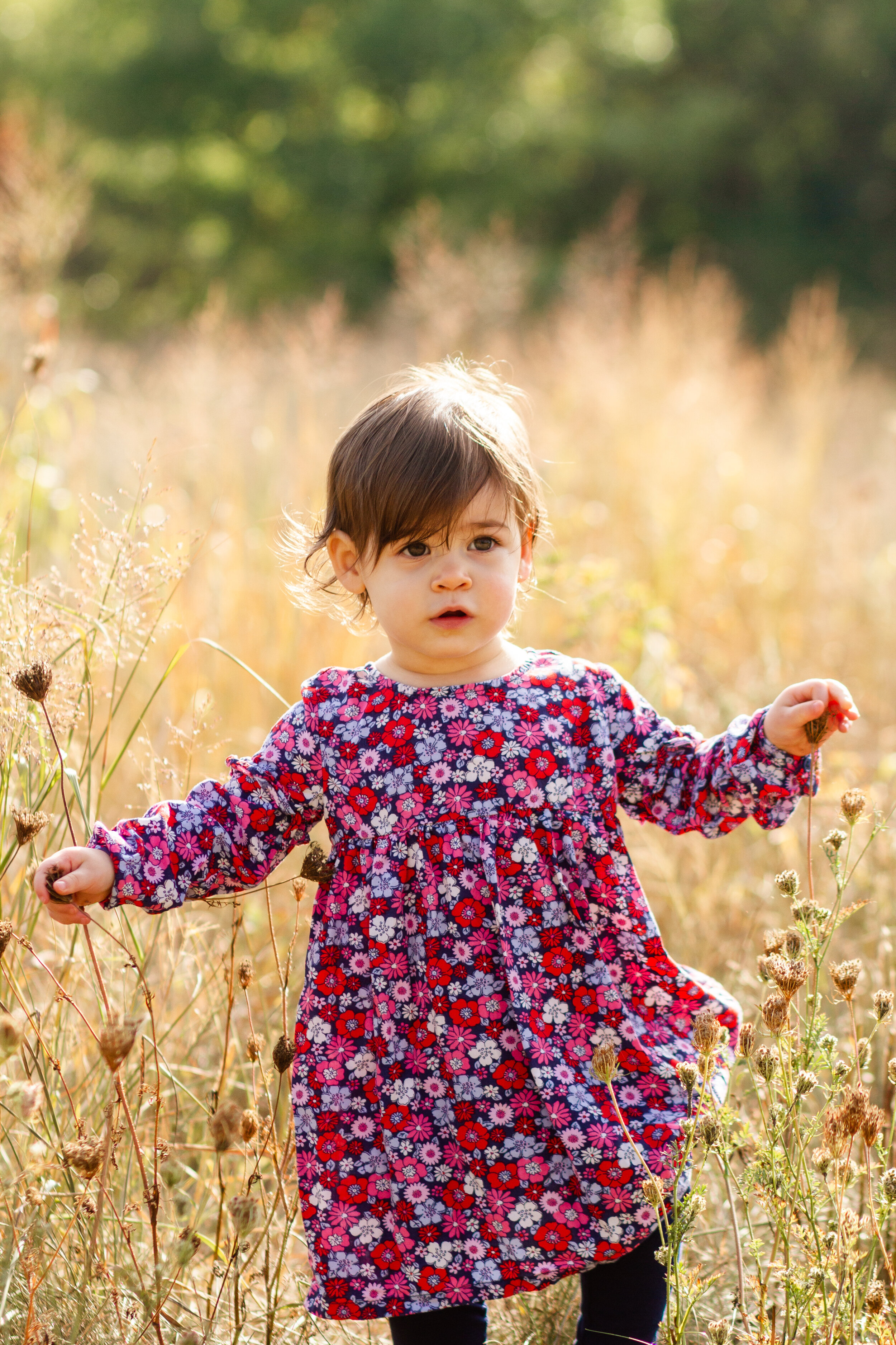 Boston Family Photography, Quincy Family Photography, Squantum Point Park, Boston Harbor, Shannon Sorensen Photography