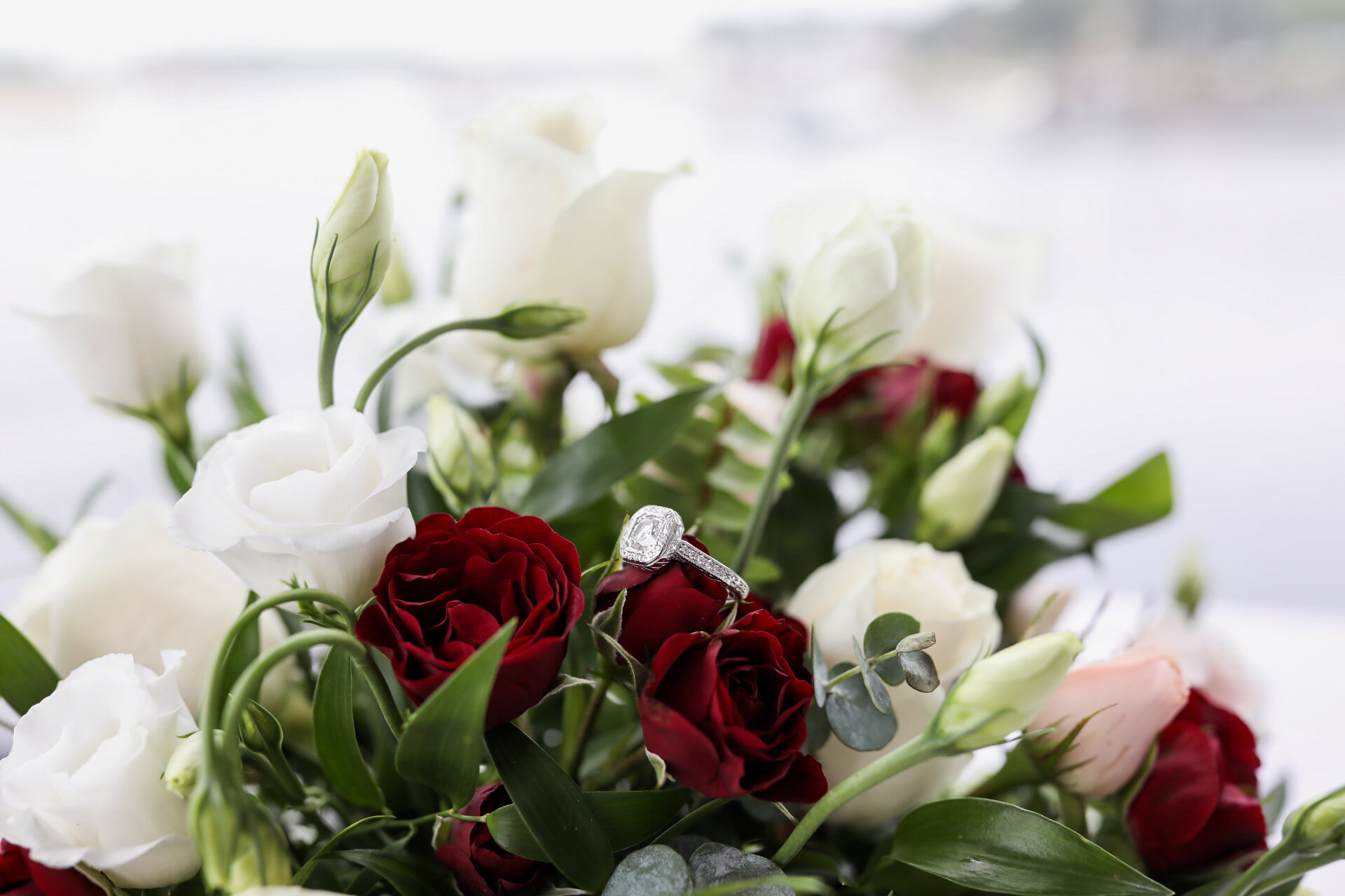 Atlantica Wedding, Cohasset Wedding, Massachusetts Wedding, Coastal Wedding, Summer Wedding, Intimate Wedding, Shannon Sorensen Photography