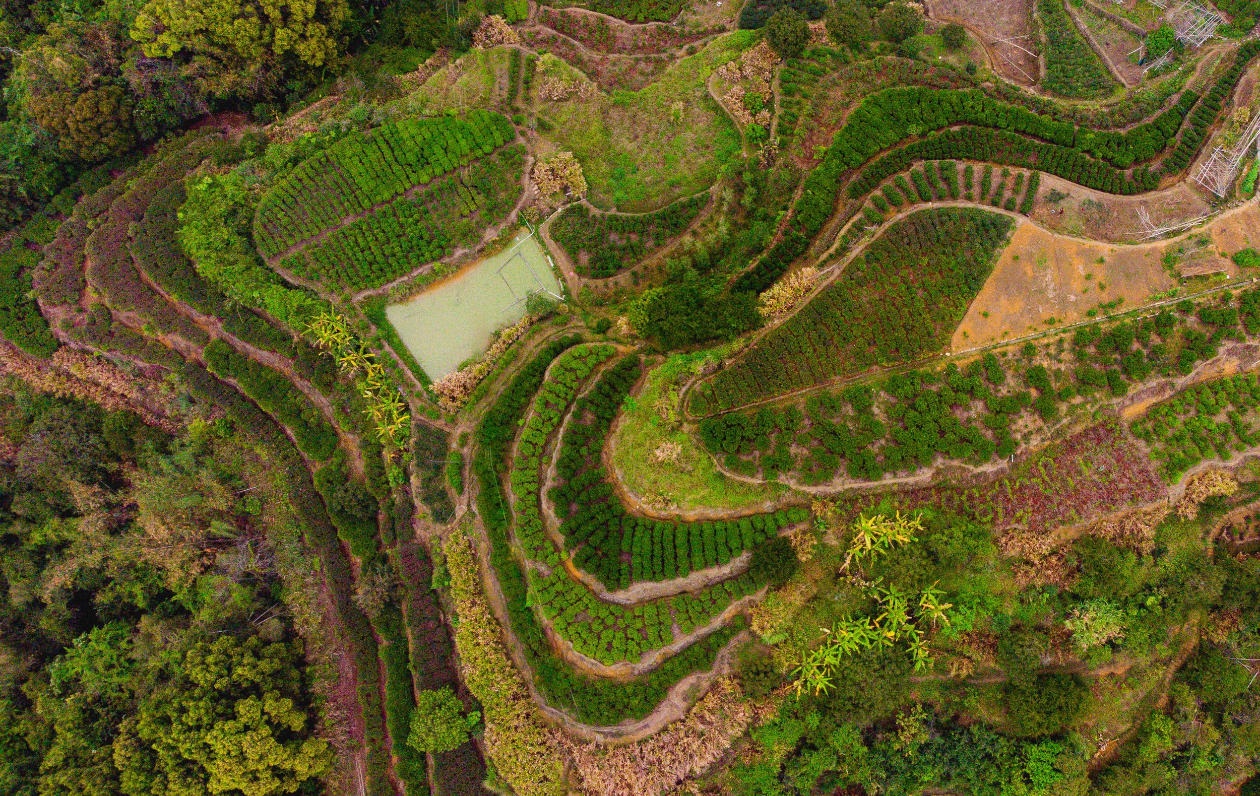 DJI_0231-2.jpg
