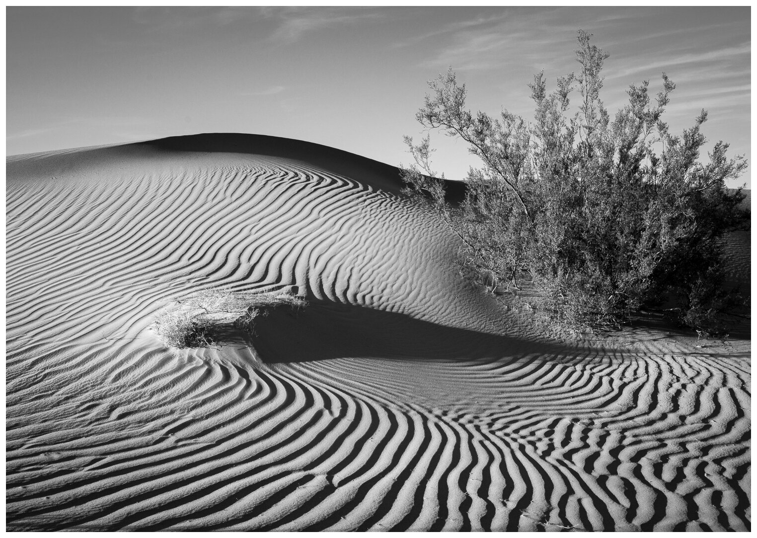 Mesquite Dunes Zen Garden