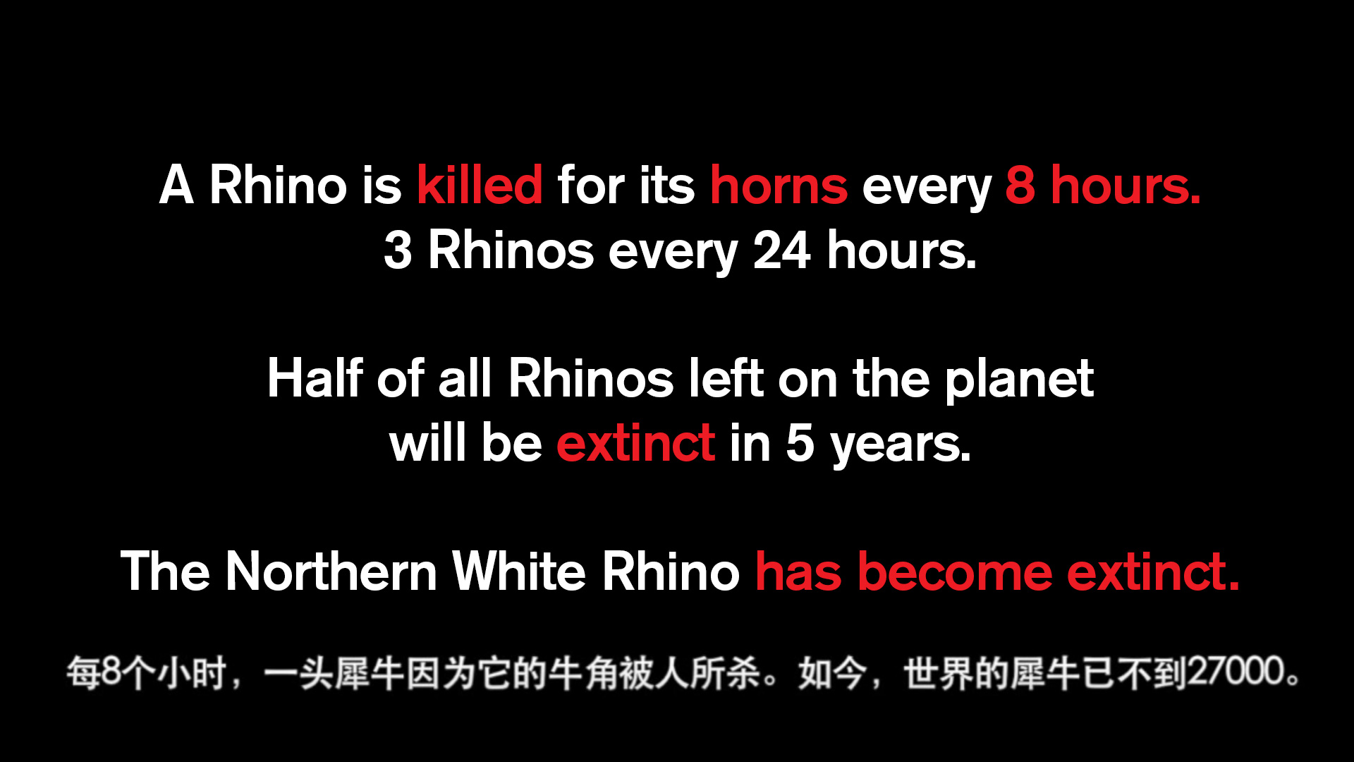 Rhinos-every-8-hours-3-a-day.jpg