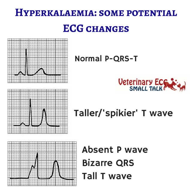 Potential ECG Changes in Hyperkalaemia
