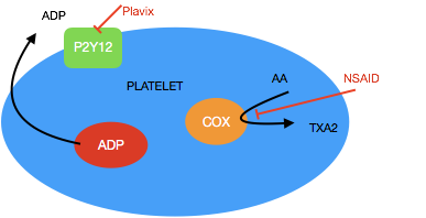 is plavix an anticoagulant <a href="https://digitales.com.au/blog/wp-content/review/heart-disease/is-diltiazem-a-dihydropyridine.php">click at this page</a> antiplatelet drug