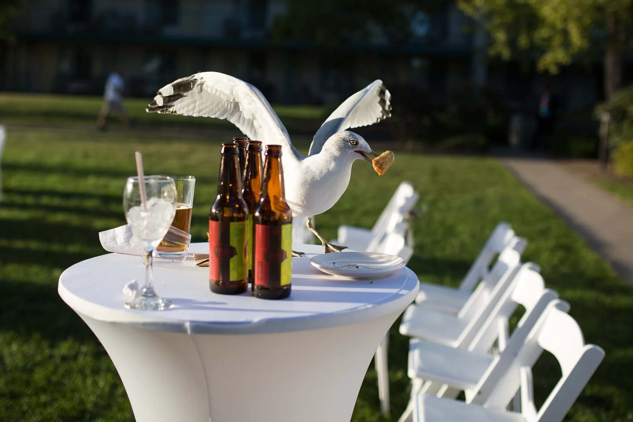 Morgan + Tom + Adventurous Seagull
