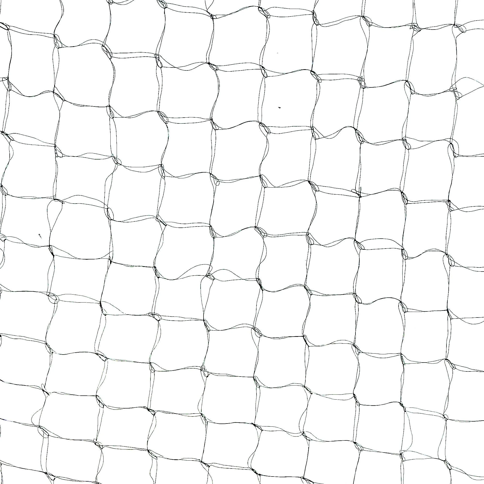 Hairnet Black Open.jpg