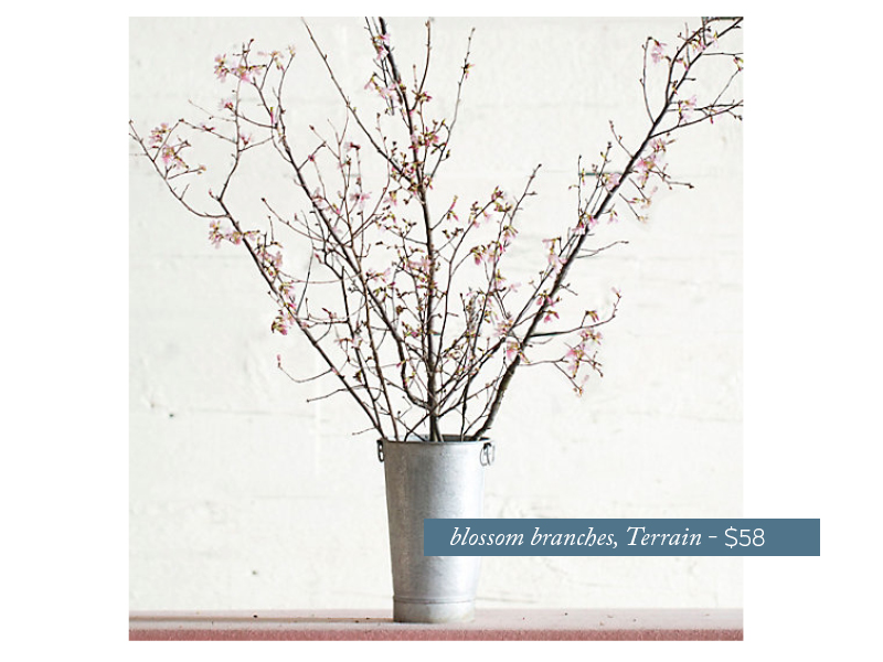 Branches.jpg