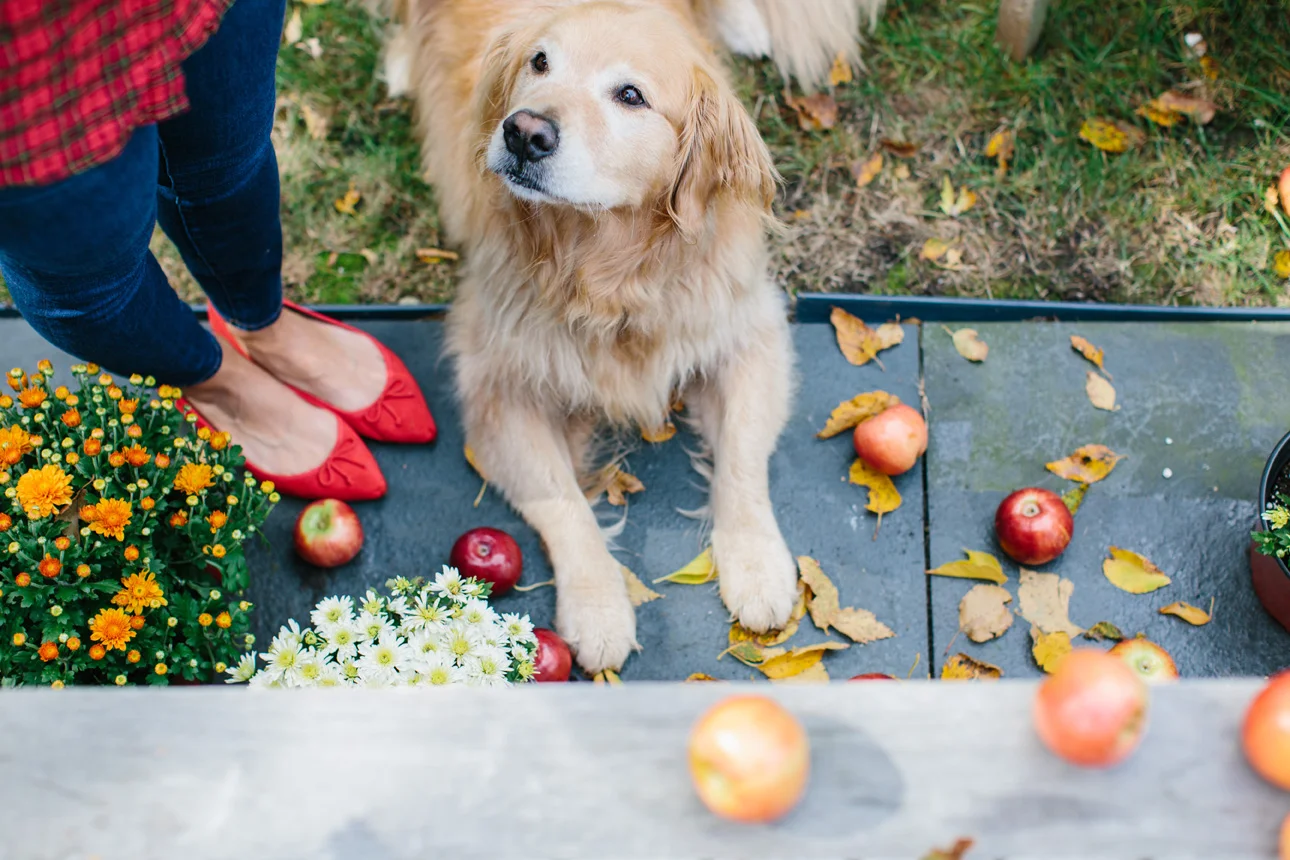 Perfect Red Flats for Fall