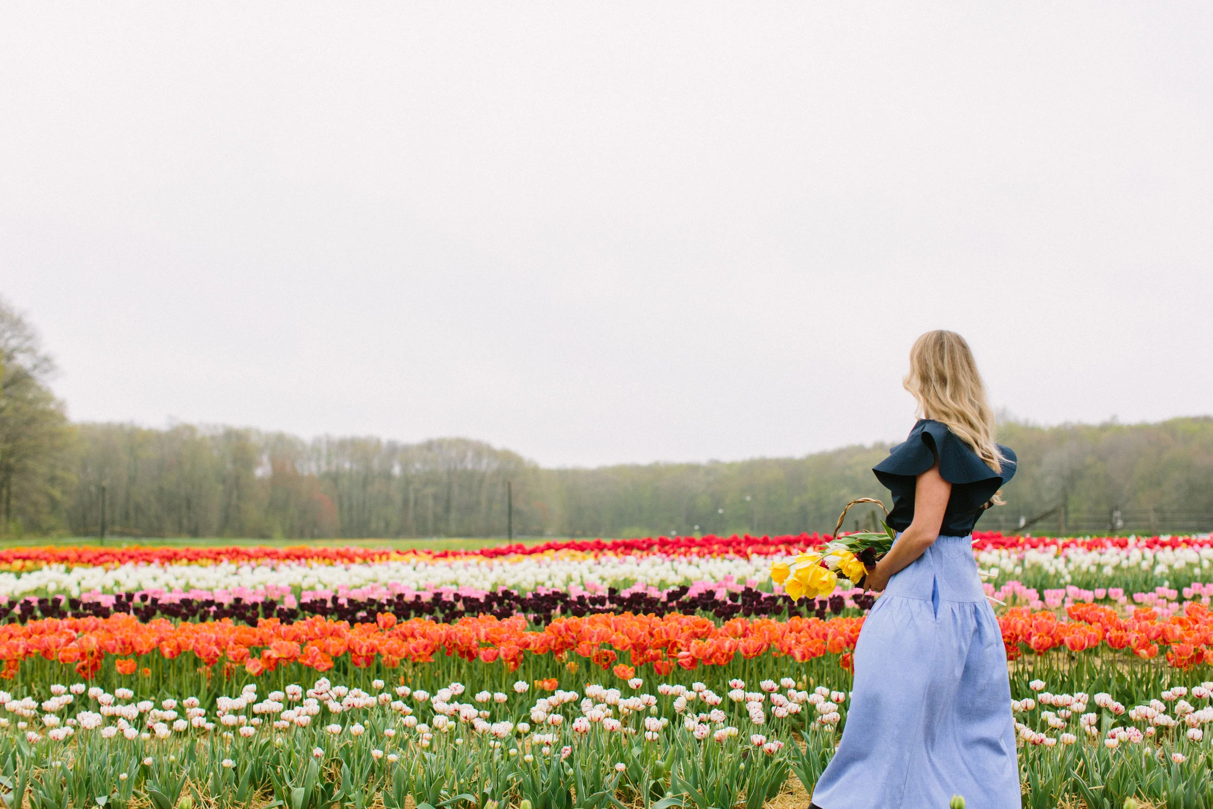 A Little Piece of Heaven: Wicked Tulips in Rhode Island