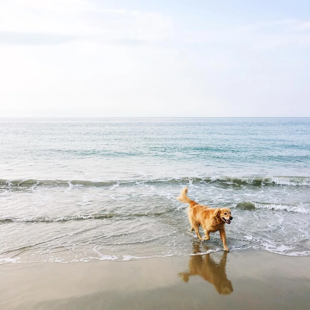 Thursday = One day closer to the weekend. 