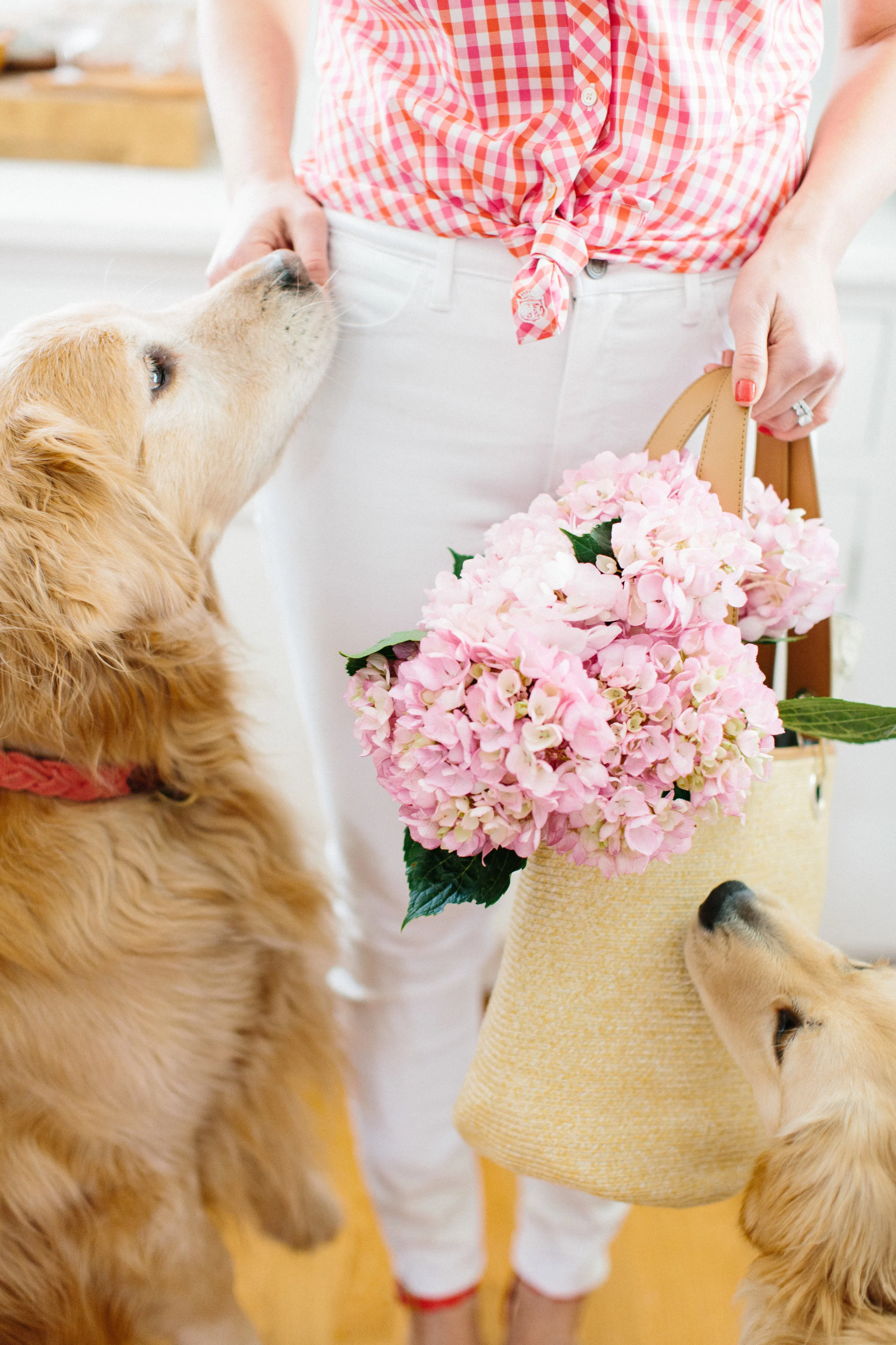 Craving Spring + National Puppy Day