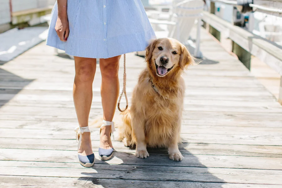 Newport, Rhode Island Summer Travel Guide