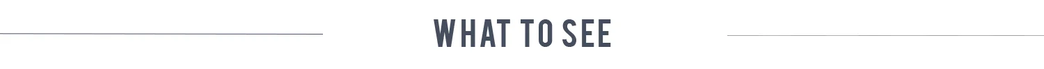 What to see.jpg