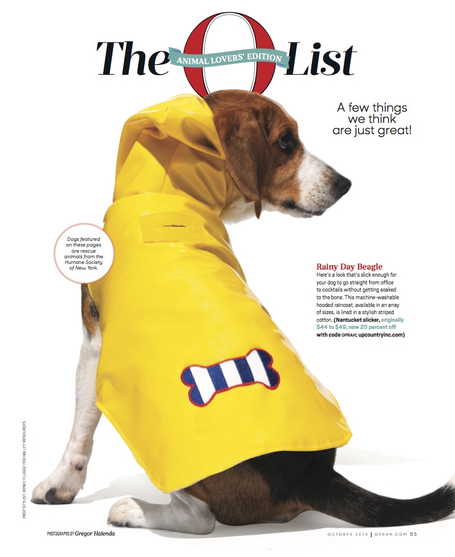 Oprah October 2015 1.jpg