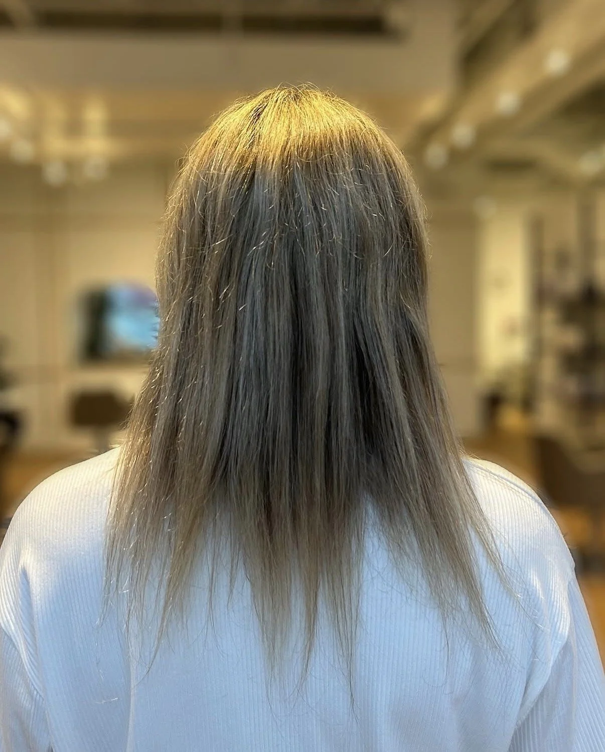 fine hair before hair extensions in Grand Rapids