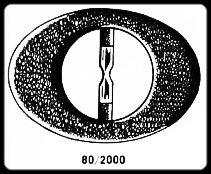 80_2000.JPG