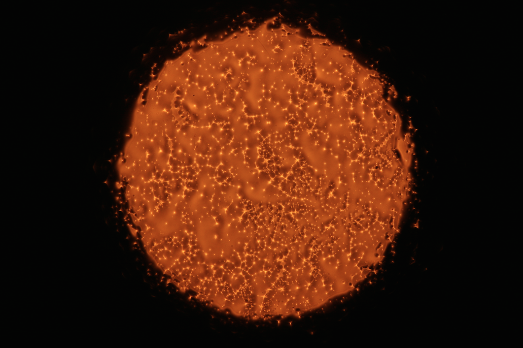 Screen Shot 2014-10-08 at 4.16.25 PM.png