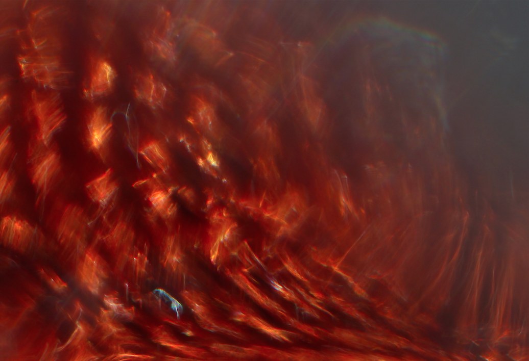 Screen Shot 2014-10-09 at 4.40.15 PM.png