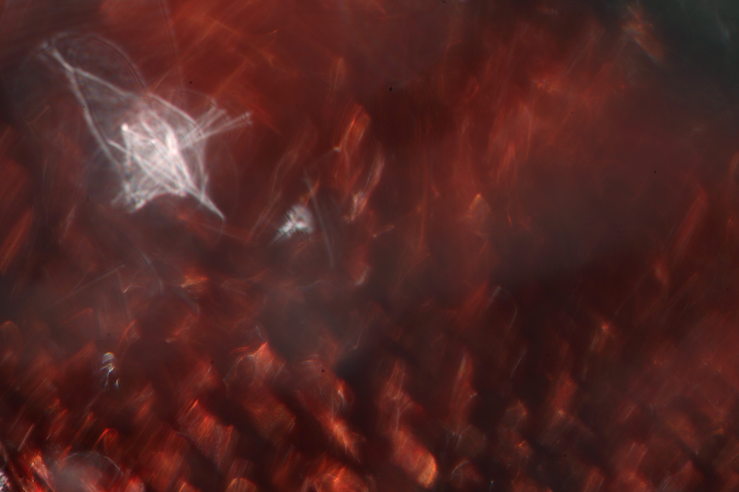 Screen Shot 2014-10-09 at 5.08.40 PM.png