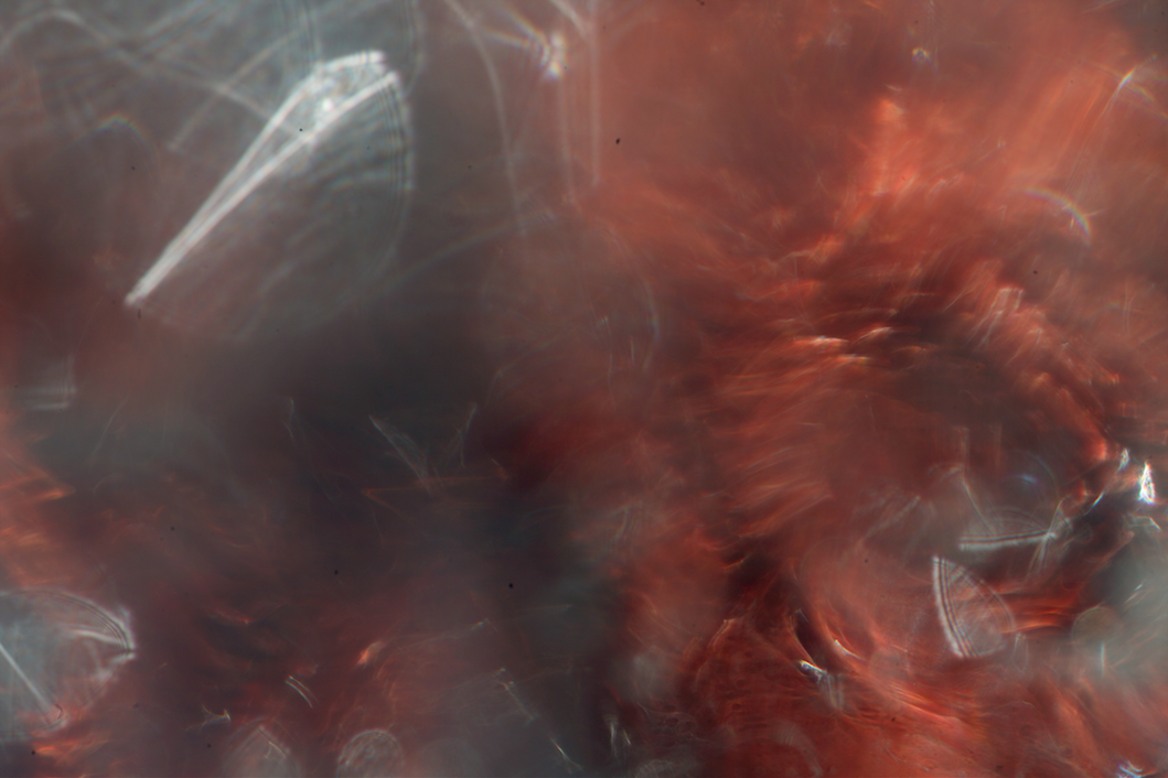 Screen Shot 2014-10-09 at 5.09.02 PM.png