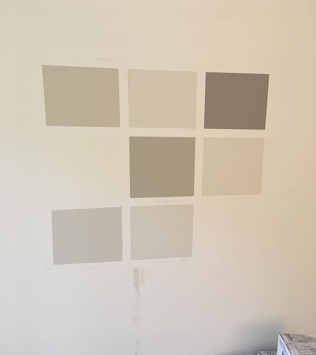 Painting can transform a house into a home! Whether it's baseboards, ceilings, walls, cabinets, trim or doors, we always recommend testing paint samples in various places around your home as lighting can drastically change. This grid is a few of our 