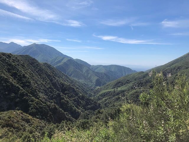 15,139 steps so far today. First hike of quarantine. Had to make up for lost time. Here’s tmi: When I was a kid we lived at the end of a dead end street, woods behind the house, with rolling hills and ponds and caves to explore. I was homeschoo