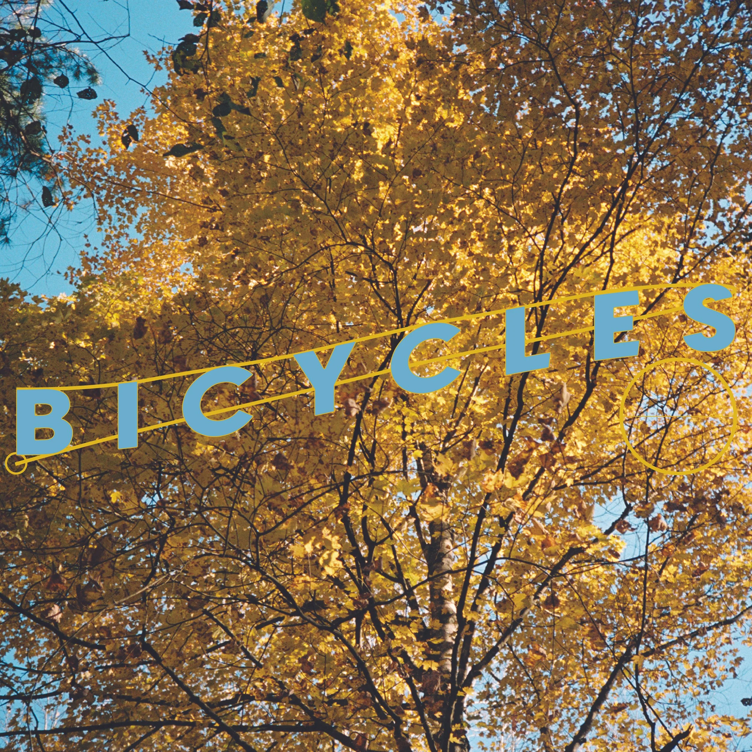 BICYCLES10-100.jpg
