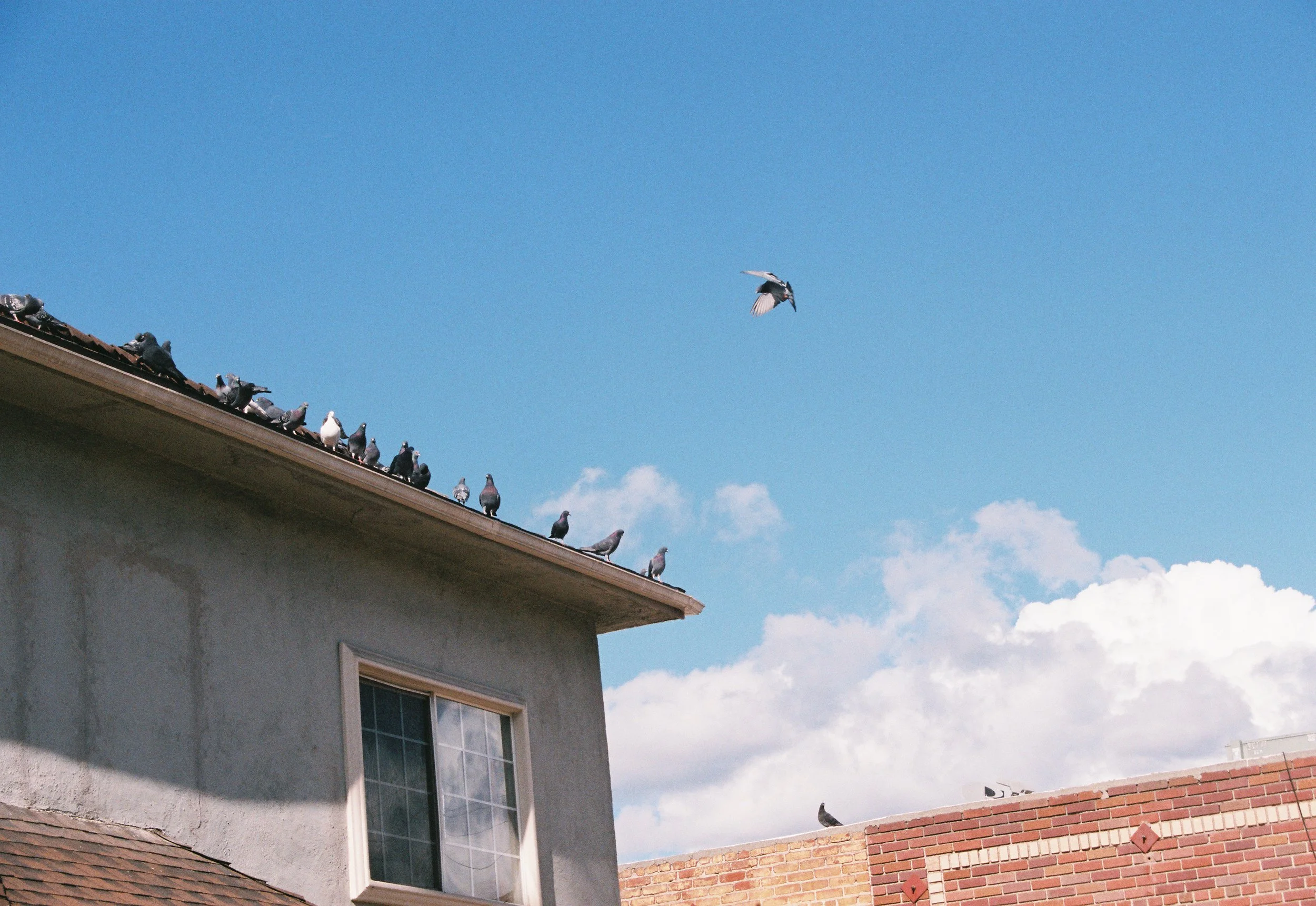 AM_1122_Superia 400_107594-R1-075-36.jpeg